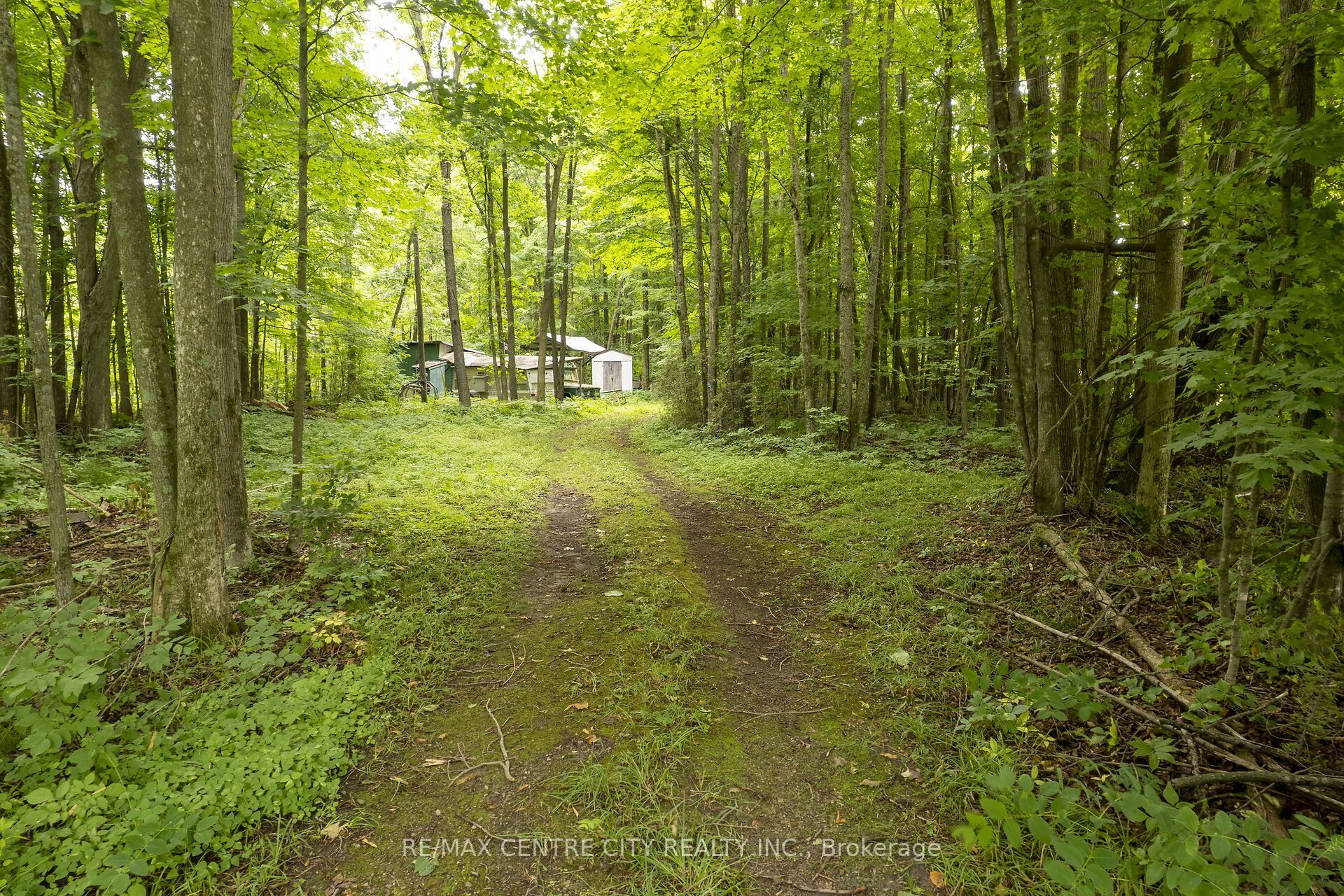 Pt Lt 6 Concesson 8 Road Property Photo 11