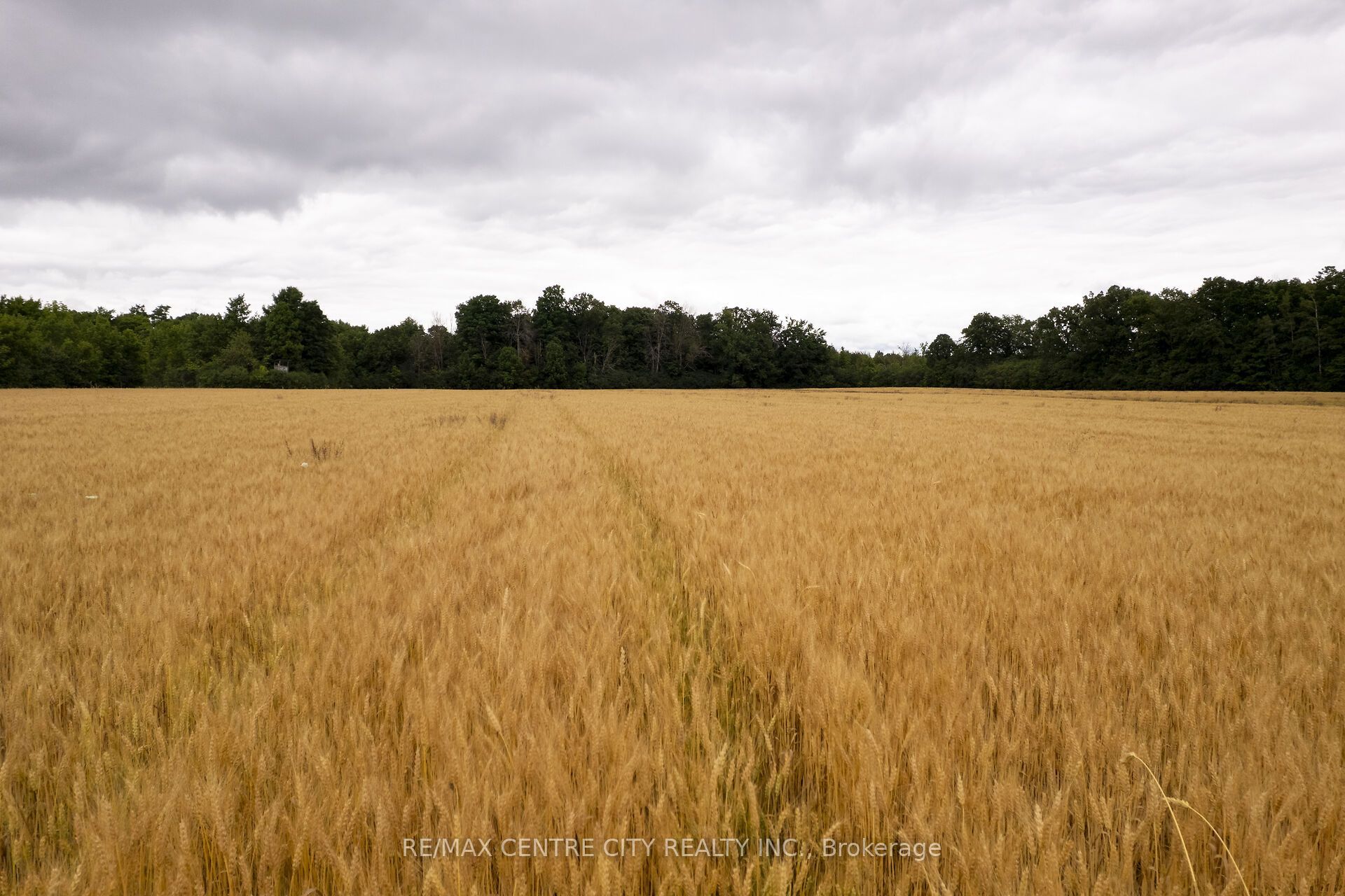 Pt Lt 6 Concesson 8 Road Property Photo 16