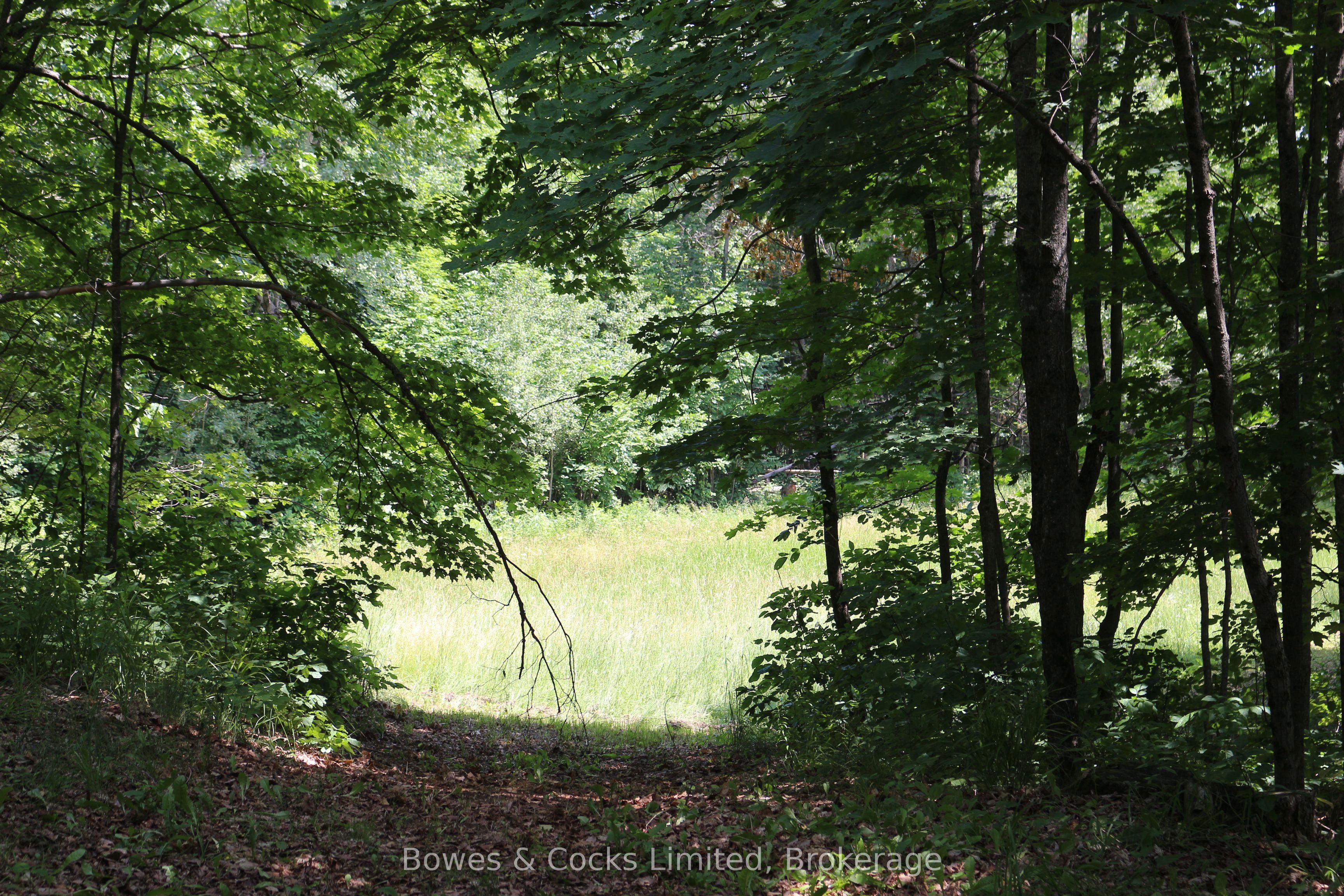4741 Lower Faraday Road Property Photo 40