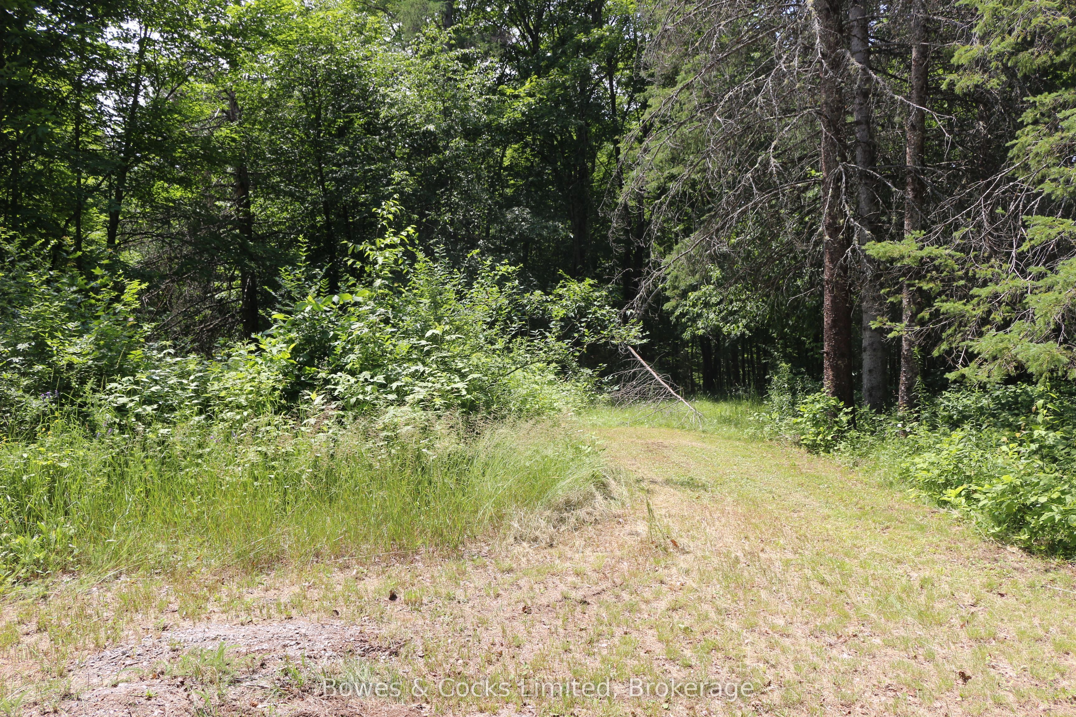 4741 Lower Faraday Road Property Photo 42