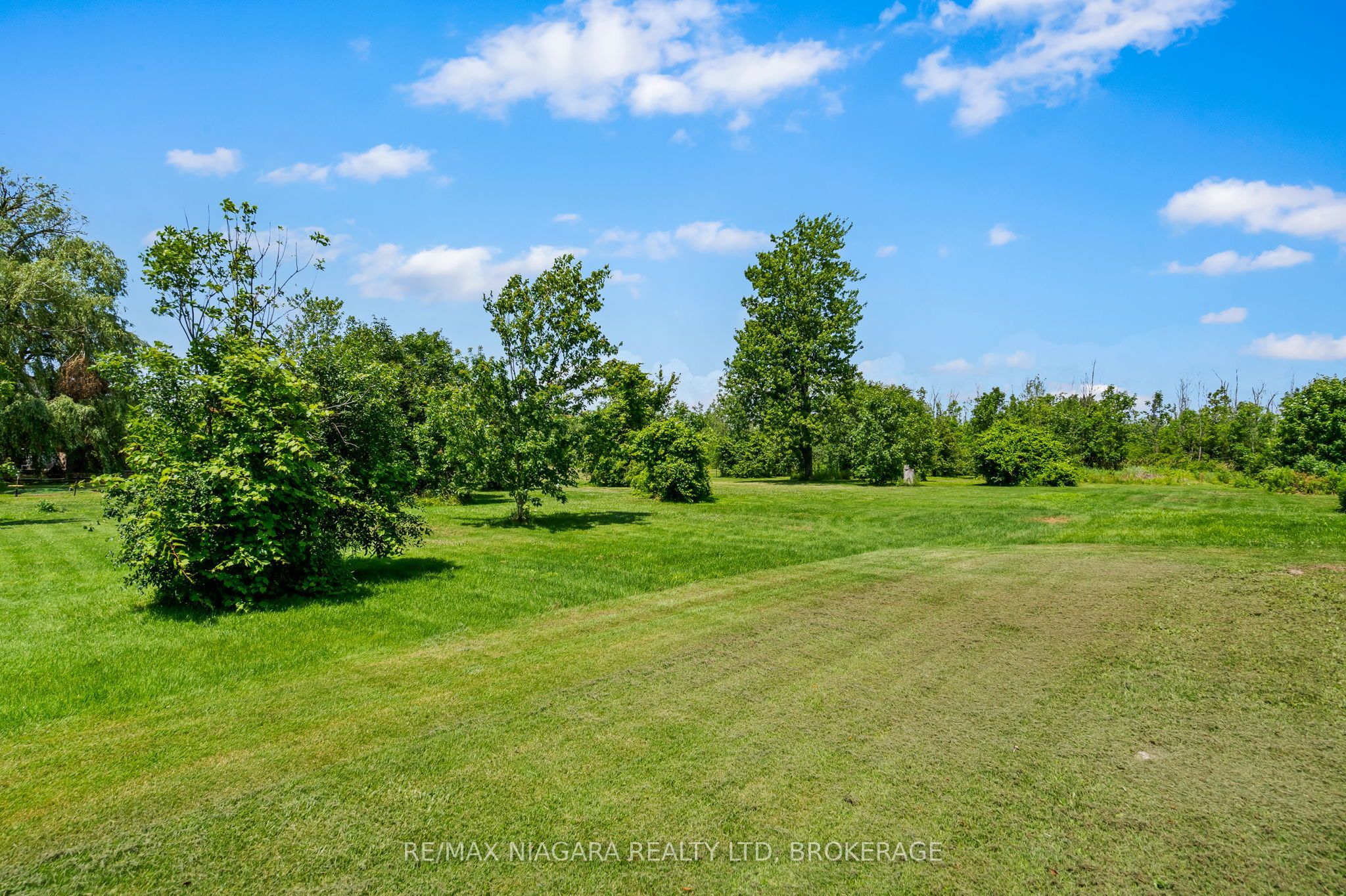 20214 Hwy 3 Property Photo 26