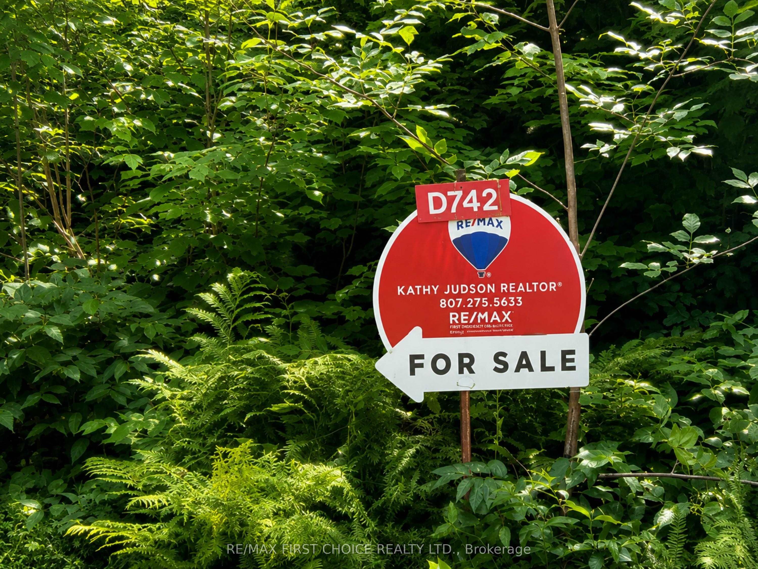 D742 Dam Road Property Photo 19