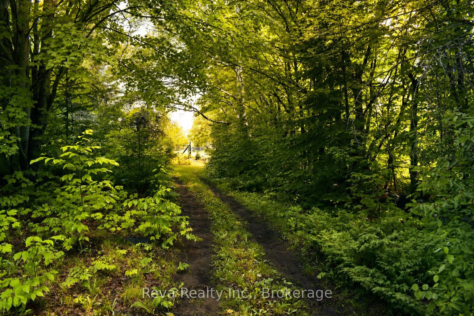 152 Hass Road Property Photo 39