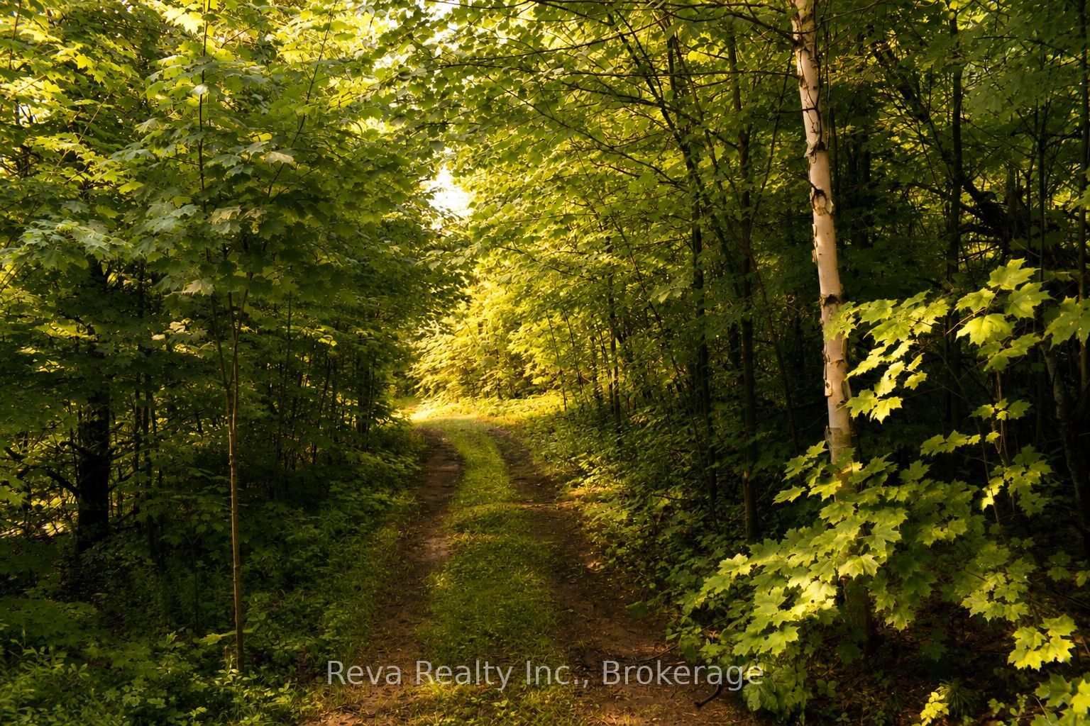 152 Hass Road Property Photo 40