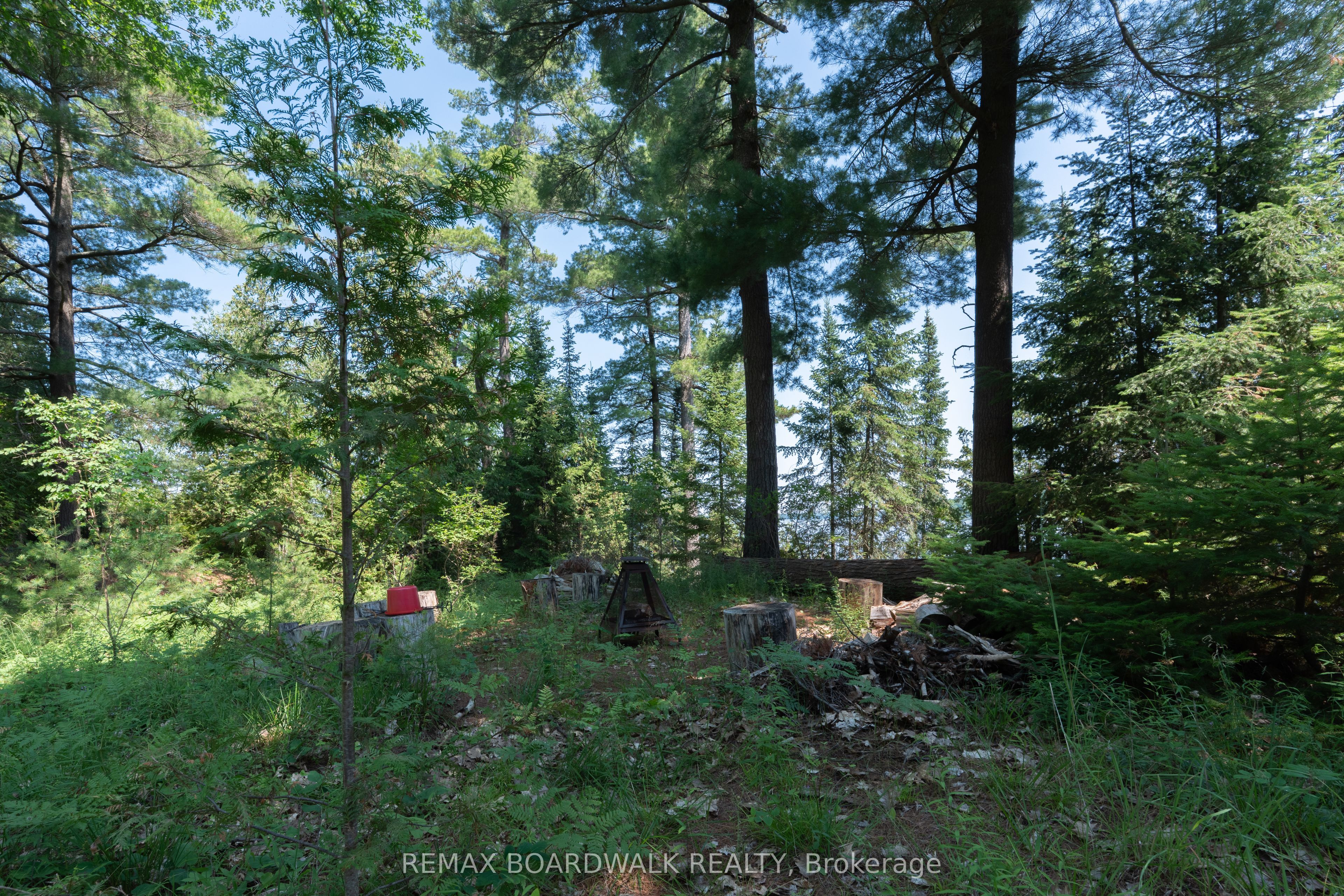 6603 Big Rideau Island Property Photo 37