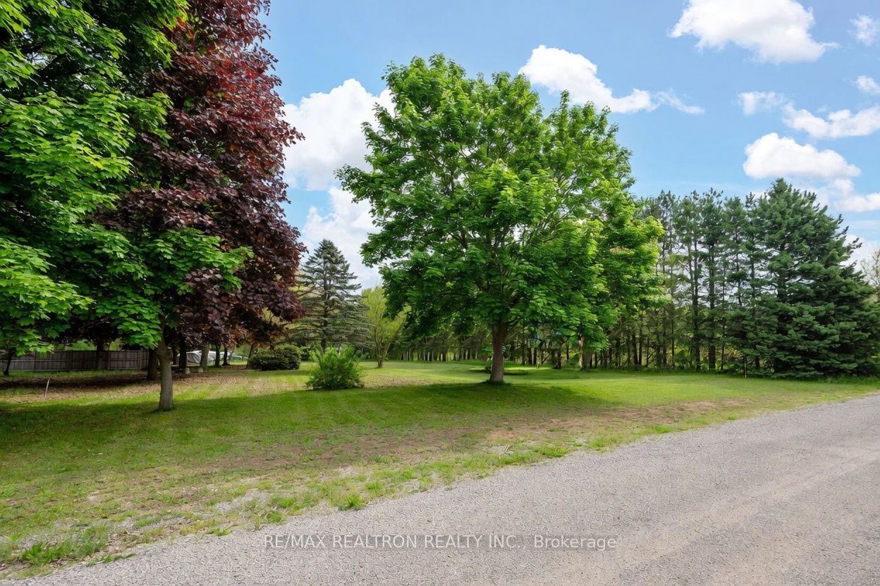 4 Joann Street Property Photo 19