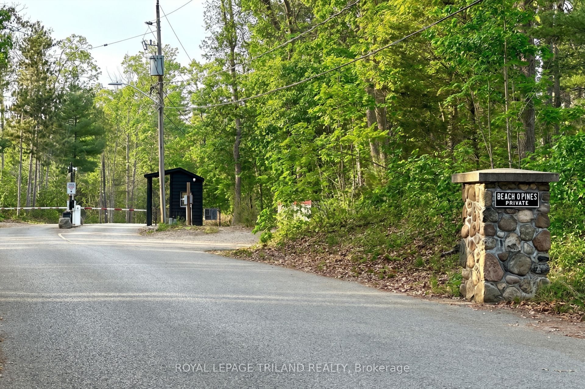 10195 Red Pine Road Property Photo 44