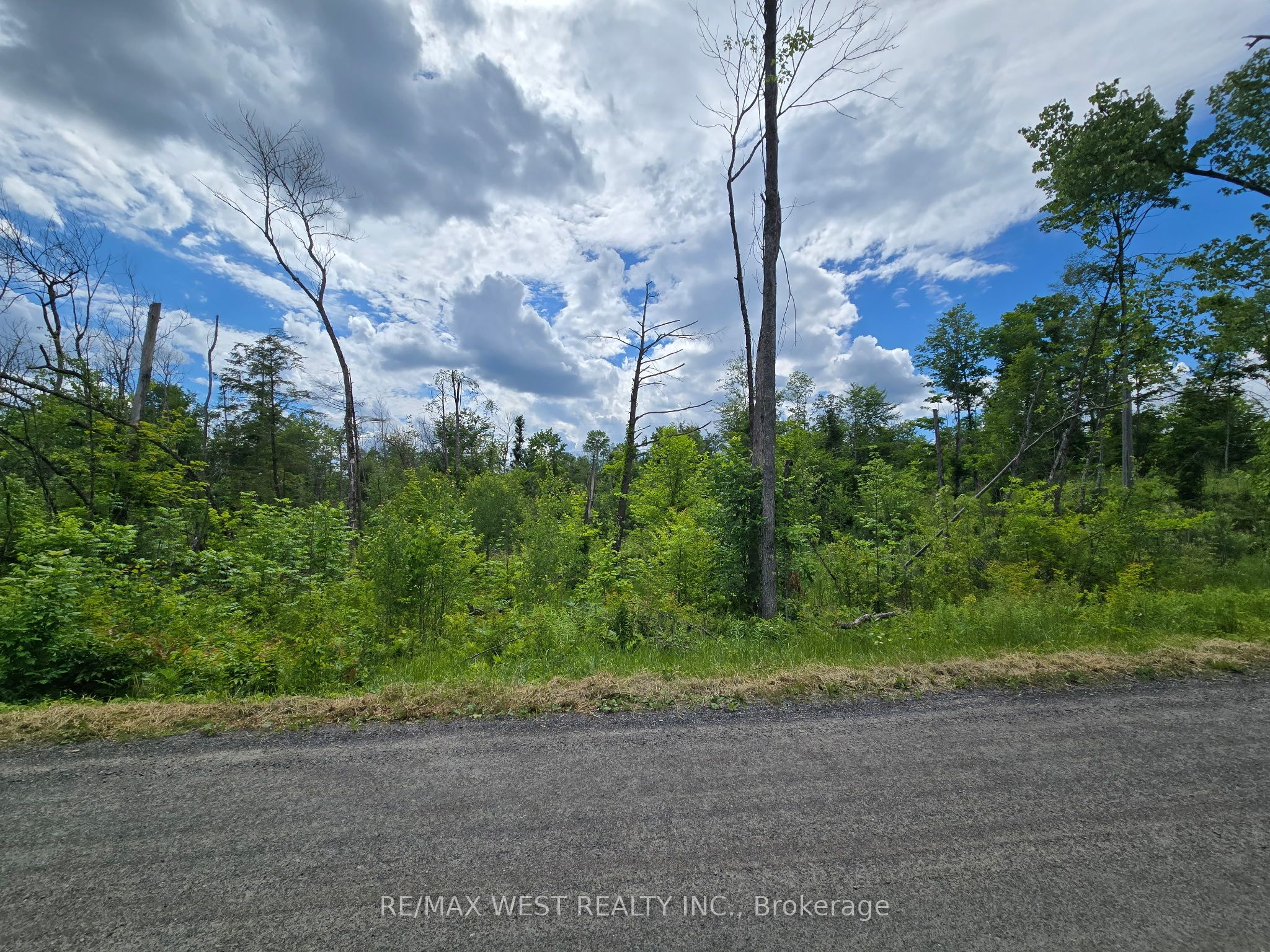 507 Black River Road Property Photo 5