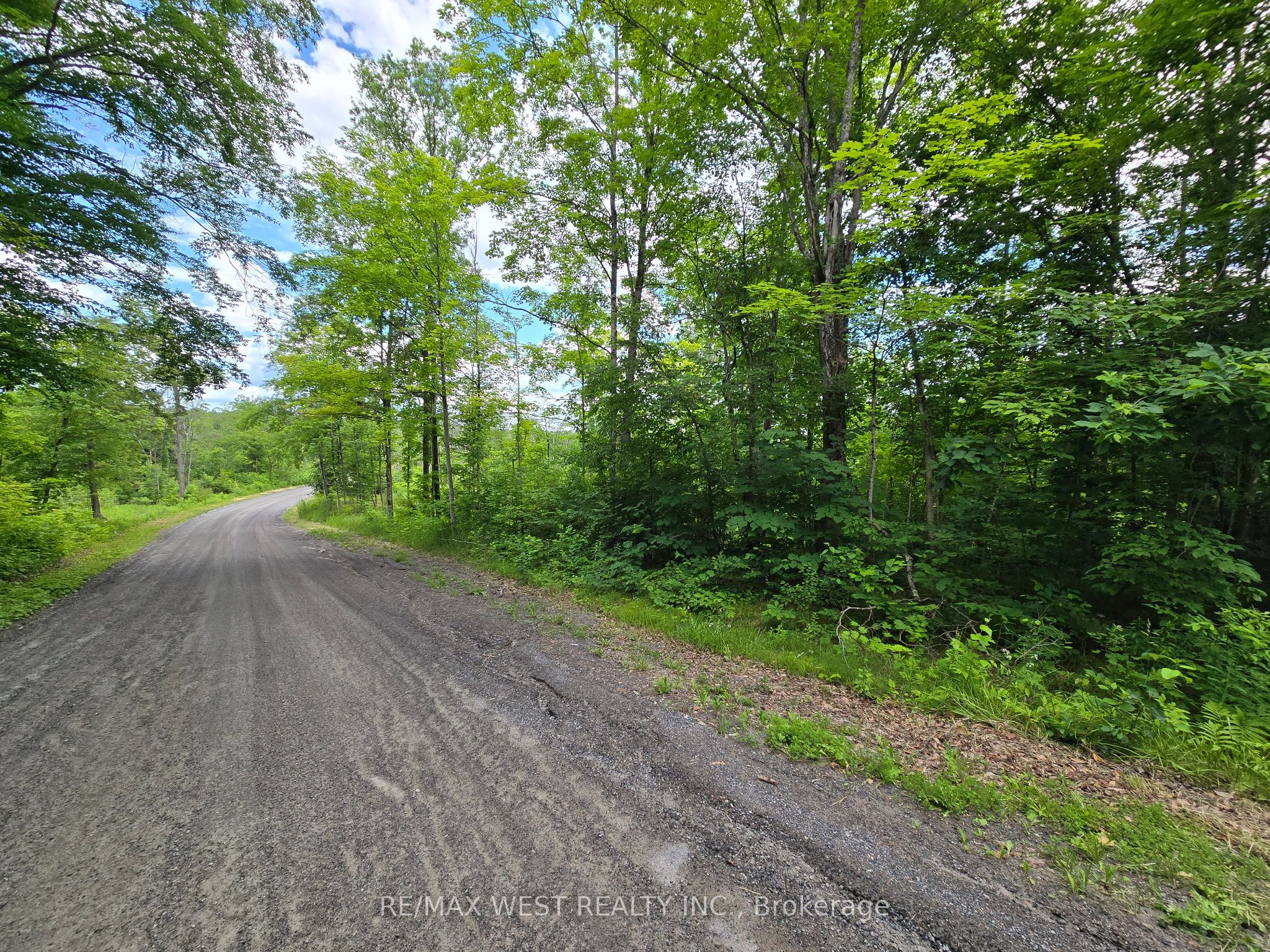 507 Black River Road Property Photo 7