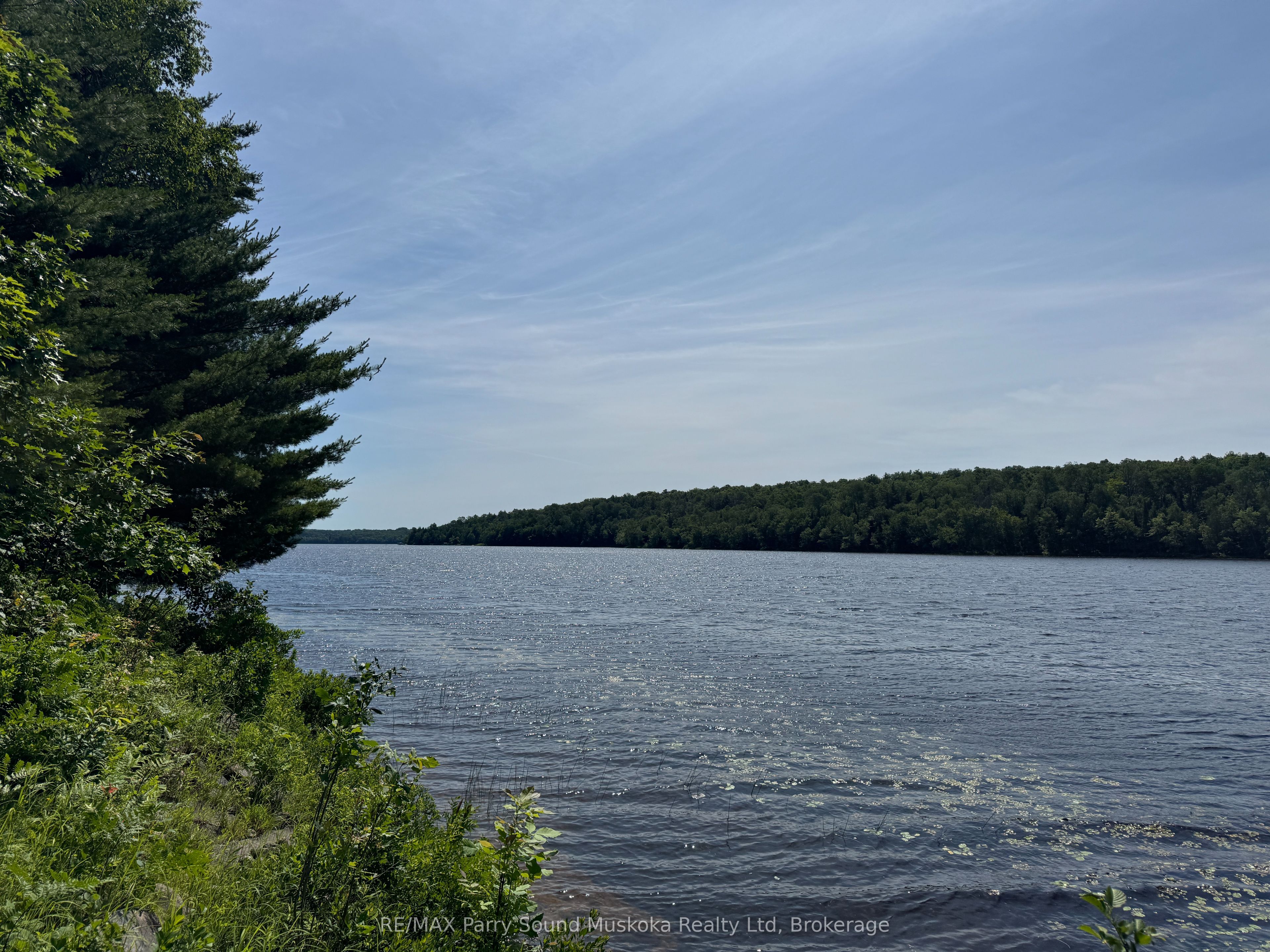 1117 Limberlost Point Road Property Photo 6