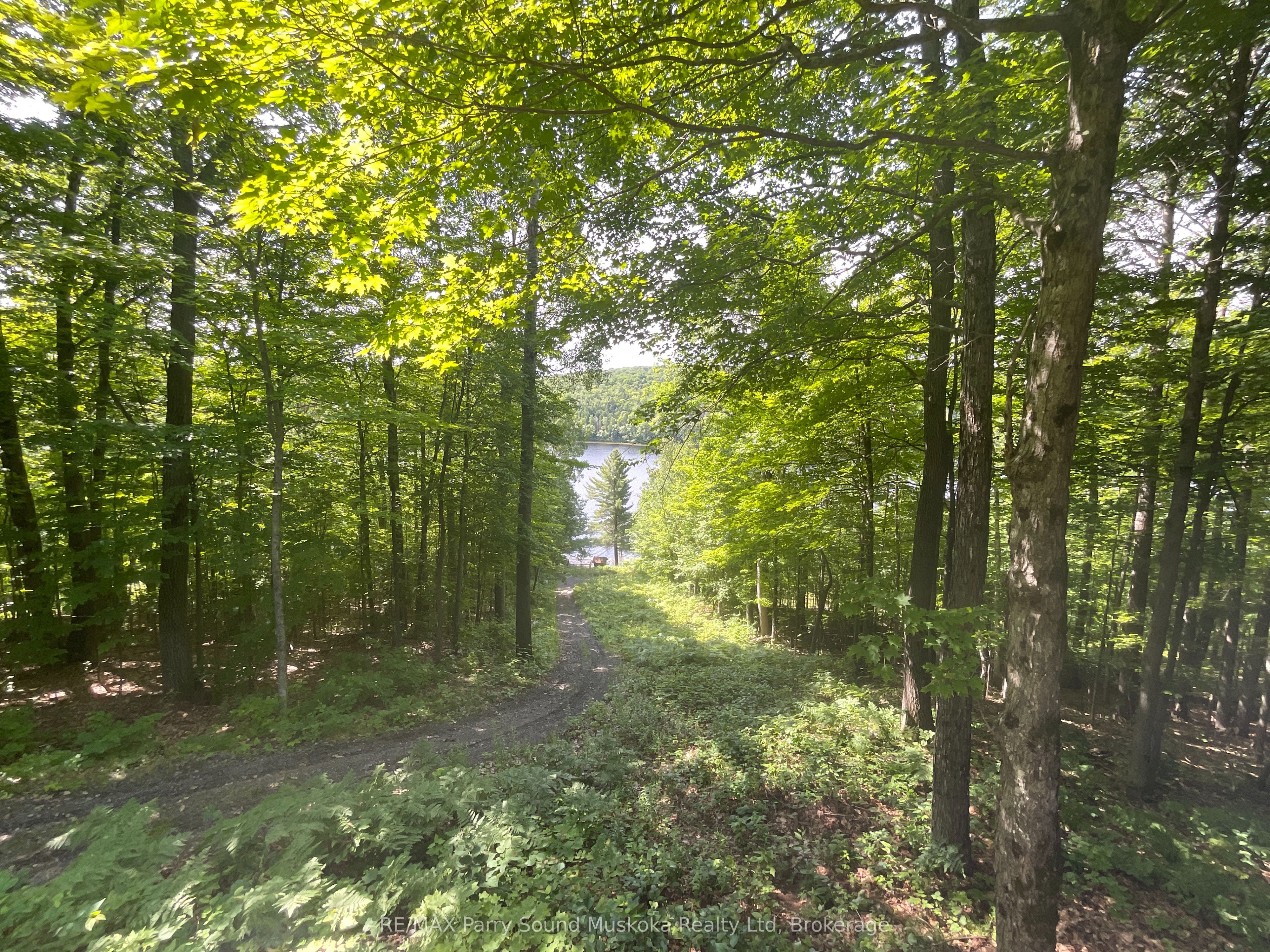 1117 Limberlost Point Road Property Photo 22