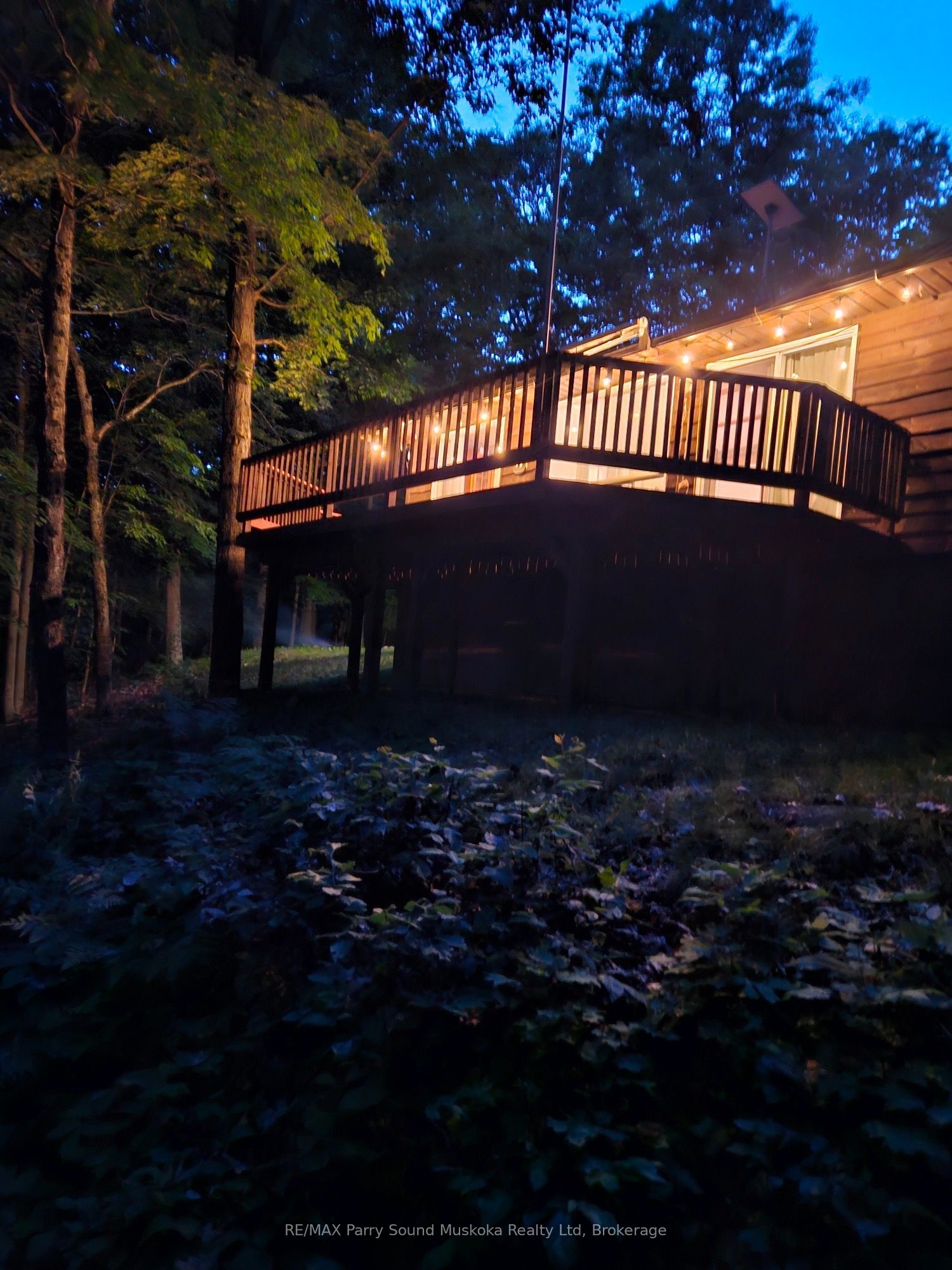 1117 Limberlost Point Road Property Photo 38