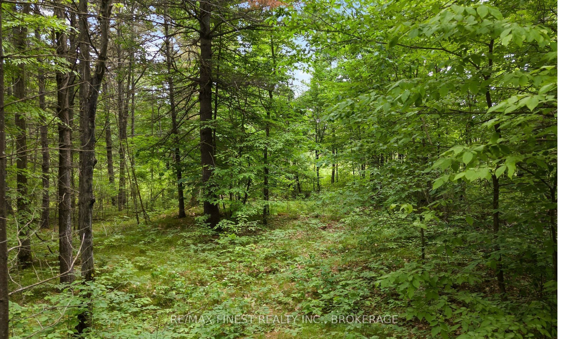 Lot 16 Echo Lake Road Property Photo 1
