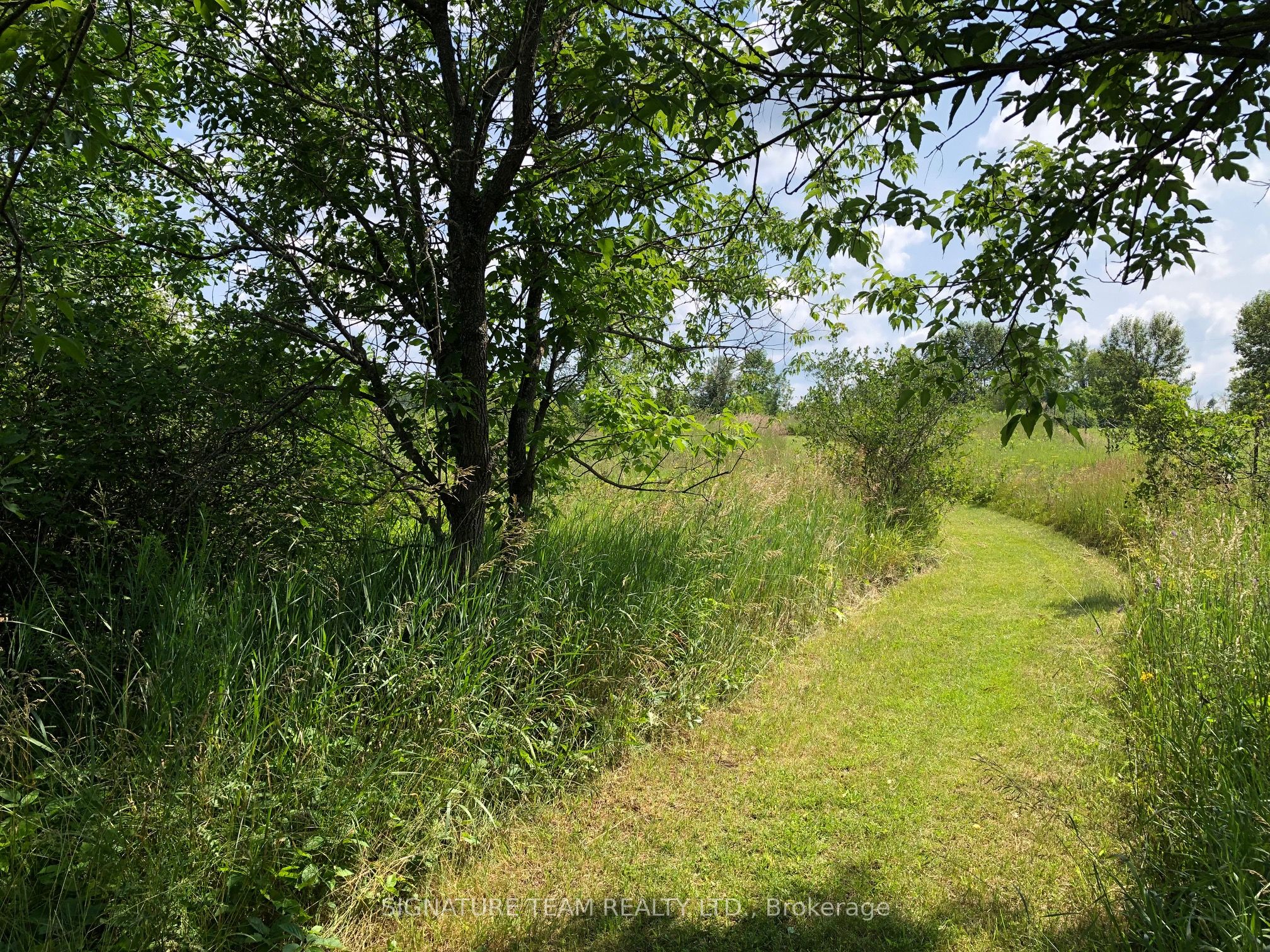 3092 Scotch Bush Road Property Photo 29