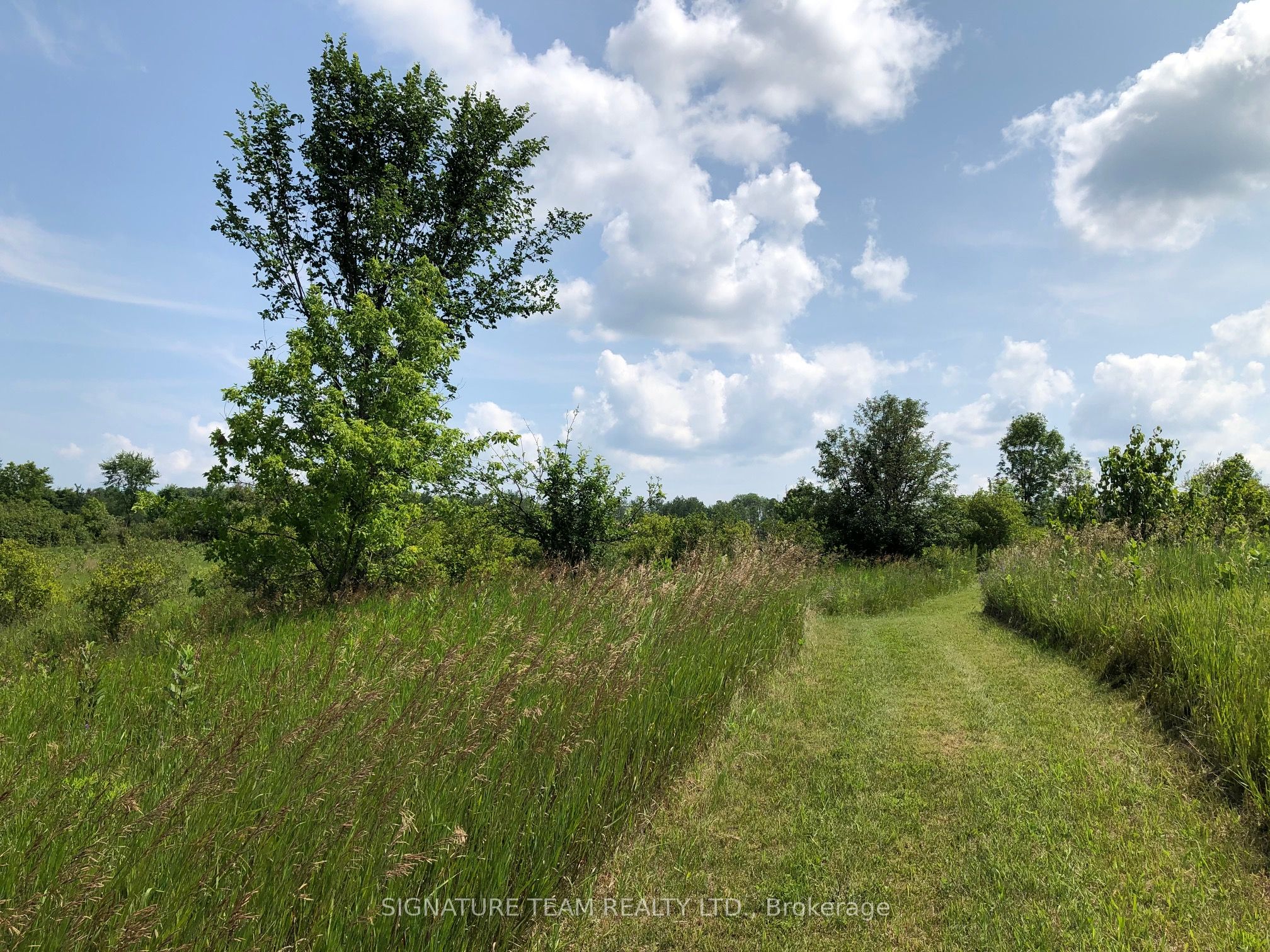 3092 Scotch Bush Road Property Photo 31