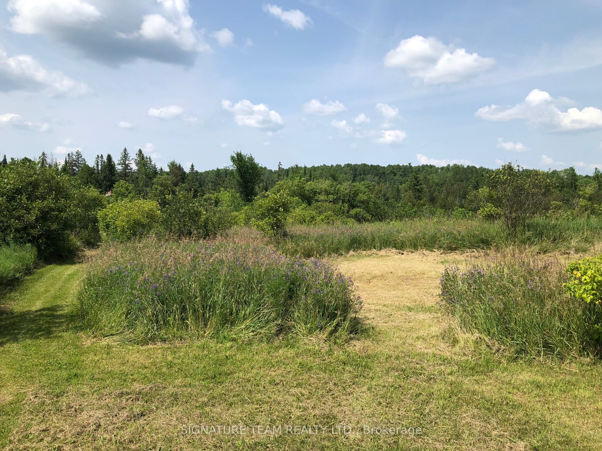3092 Scotch Bush Road Property Photo 33