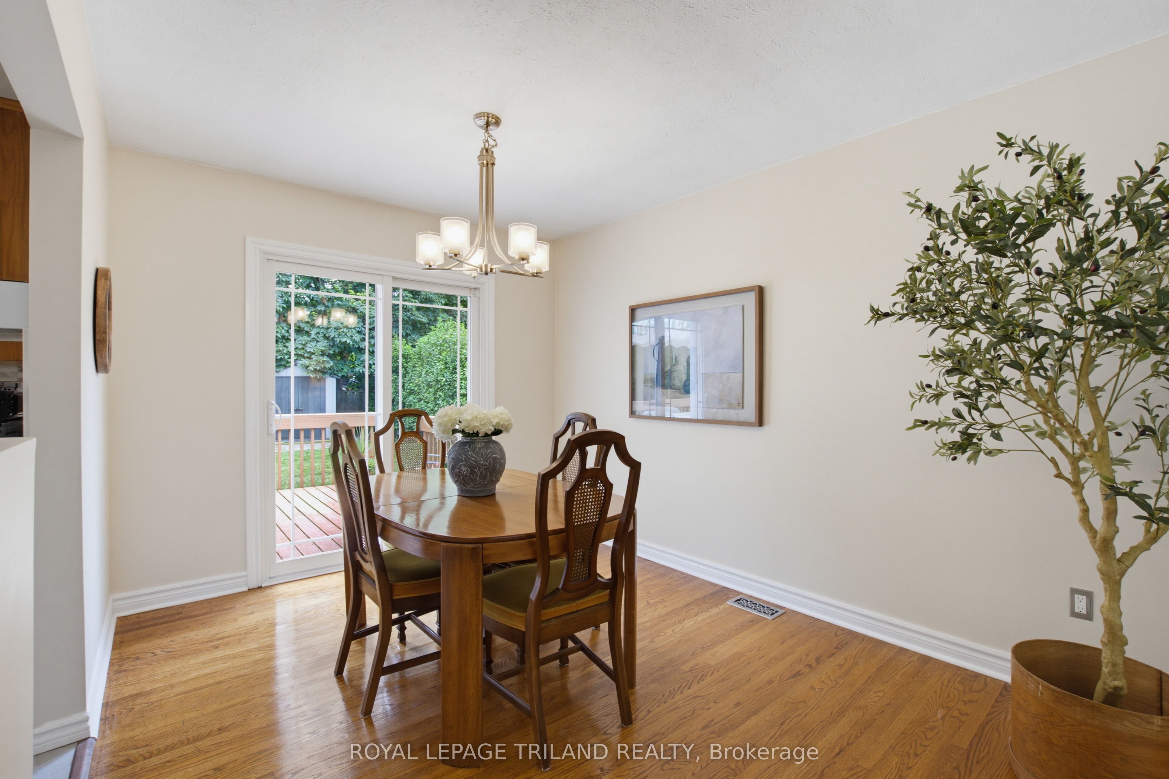 203 Tavistock Road Property Photo 13