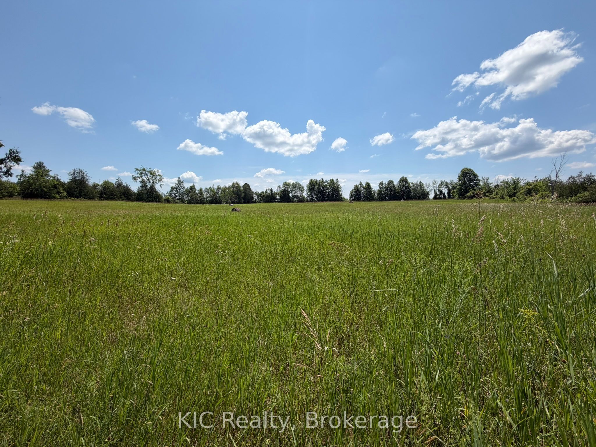 221 Jones Road Property Photo 15