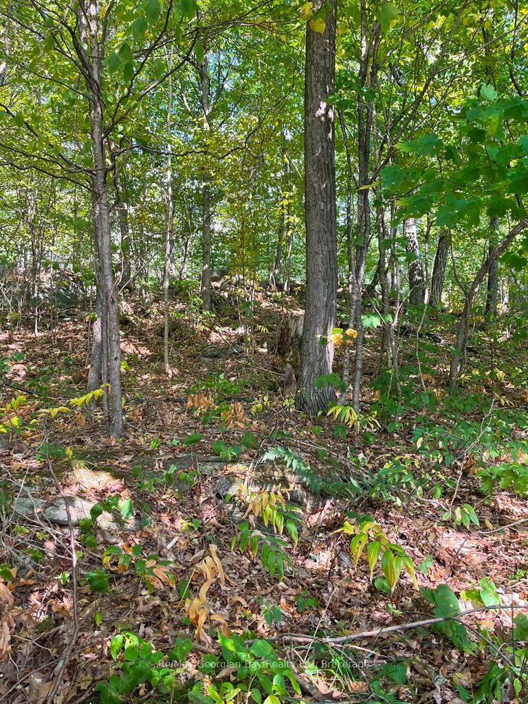 4sr406 Severn River Route Property Photo 34