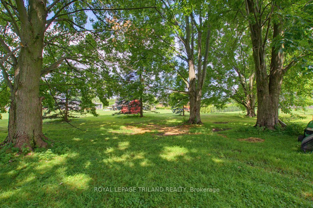 185 Centennial Avenue Property Photo 37