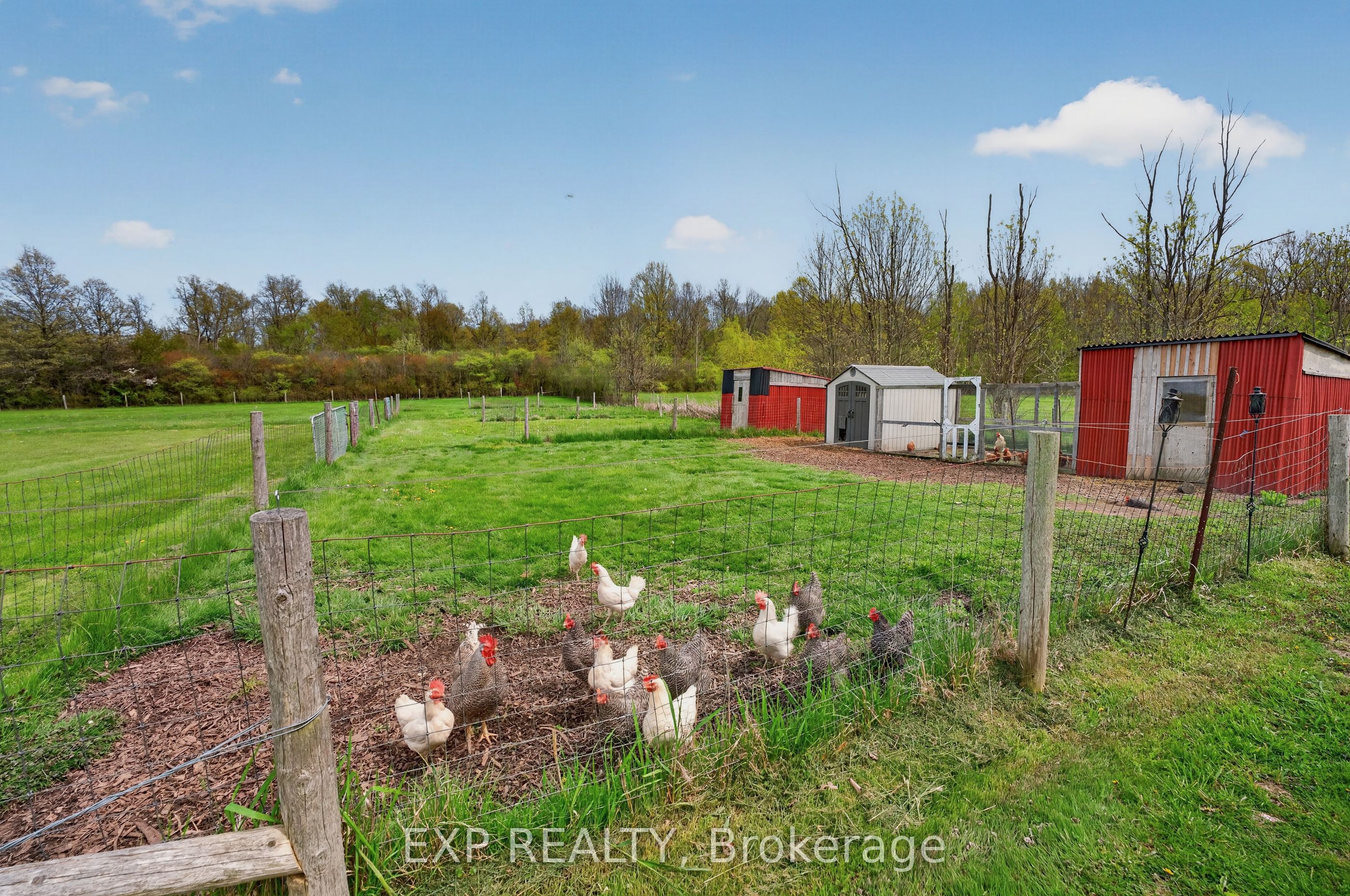 2266 Pettit Road Property Photo 6