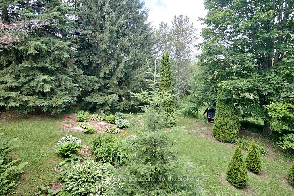 102 Mill Street Property Photo 27