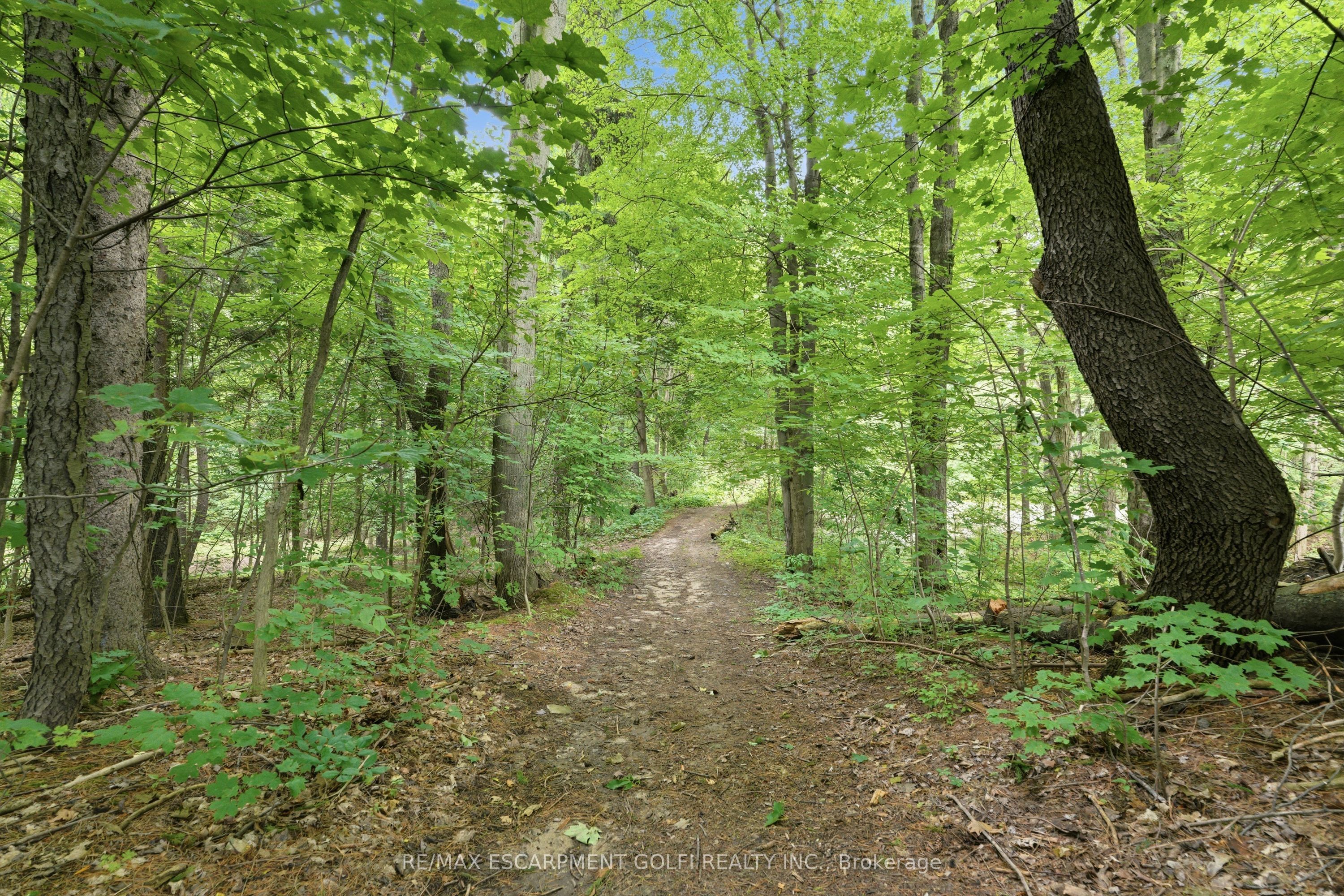 461 Tice Road Property Photo 45