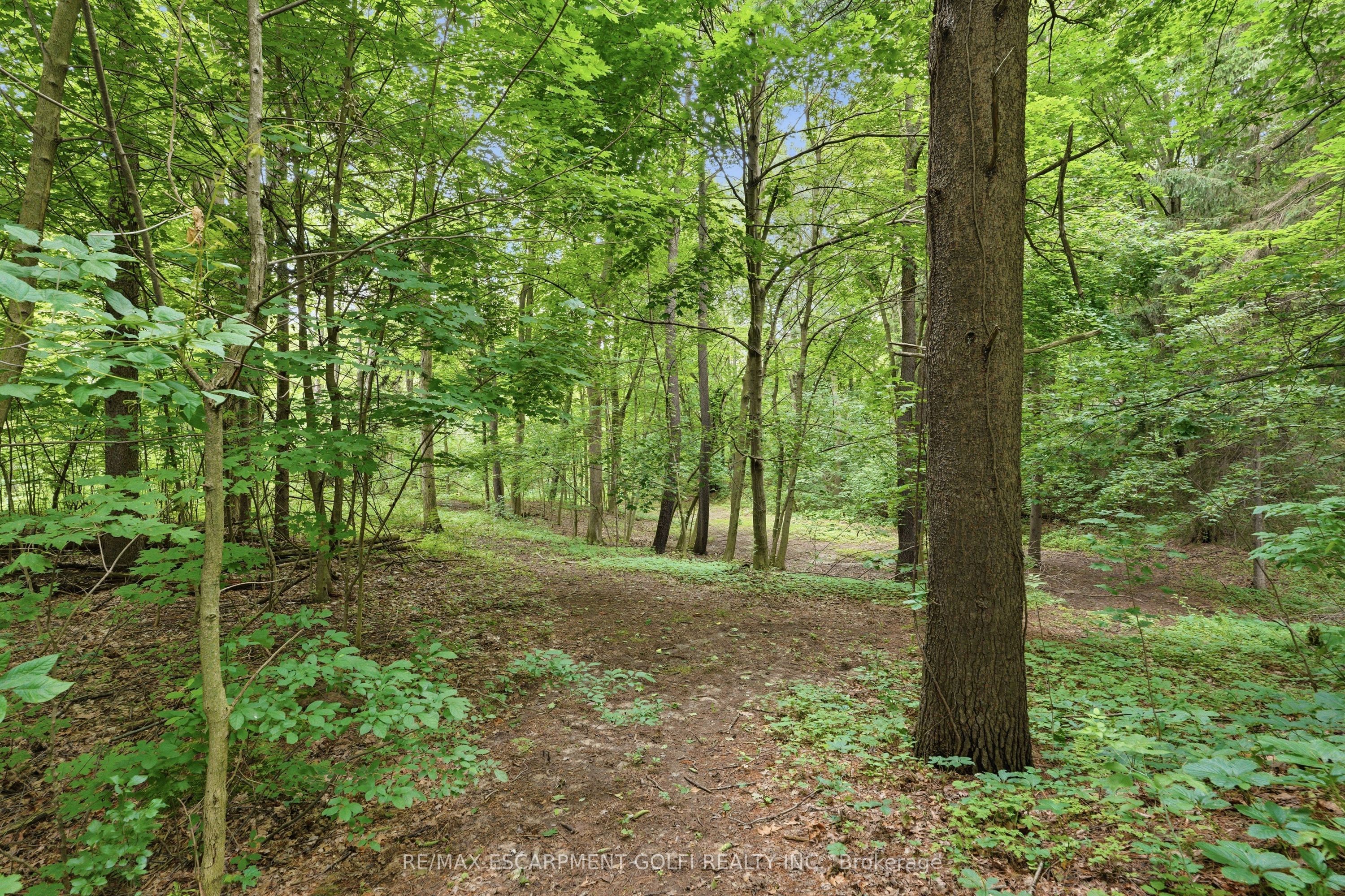 461 Tice Road Property Photo 46
