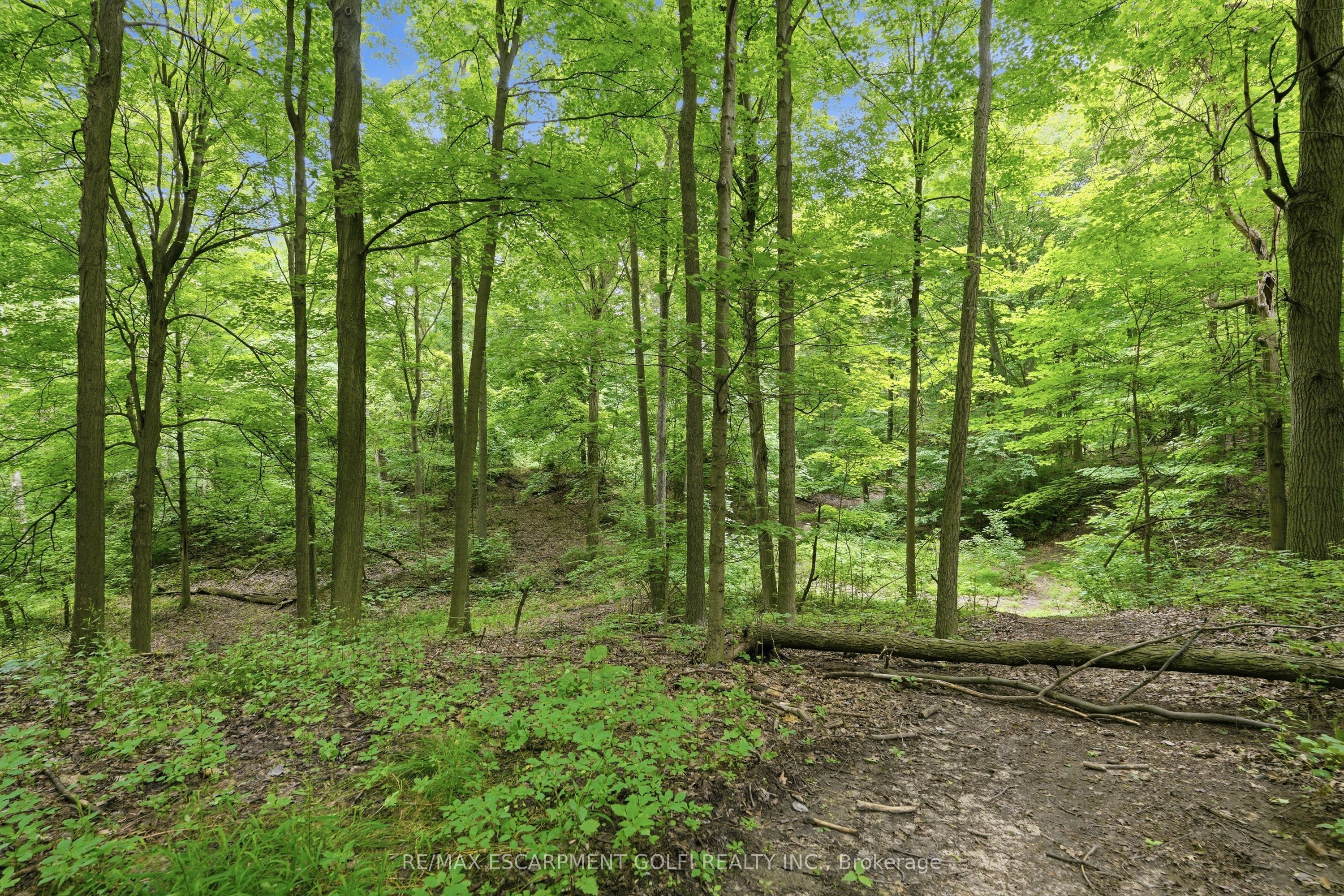 461 Tice Road Property Photo 47