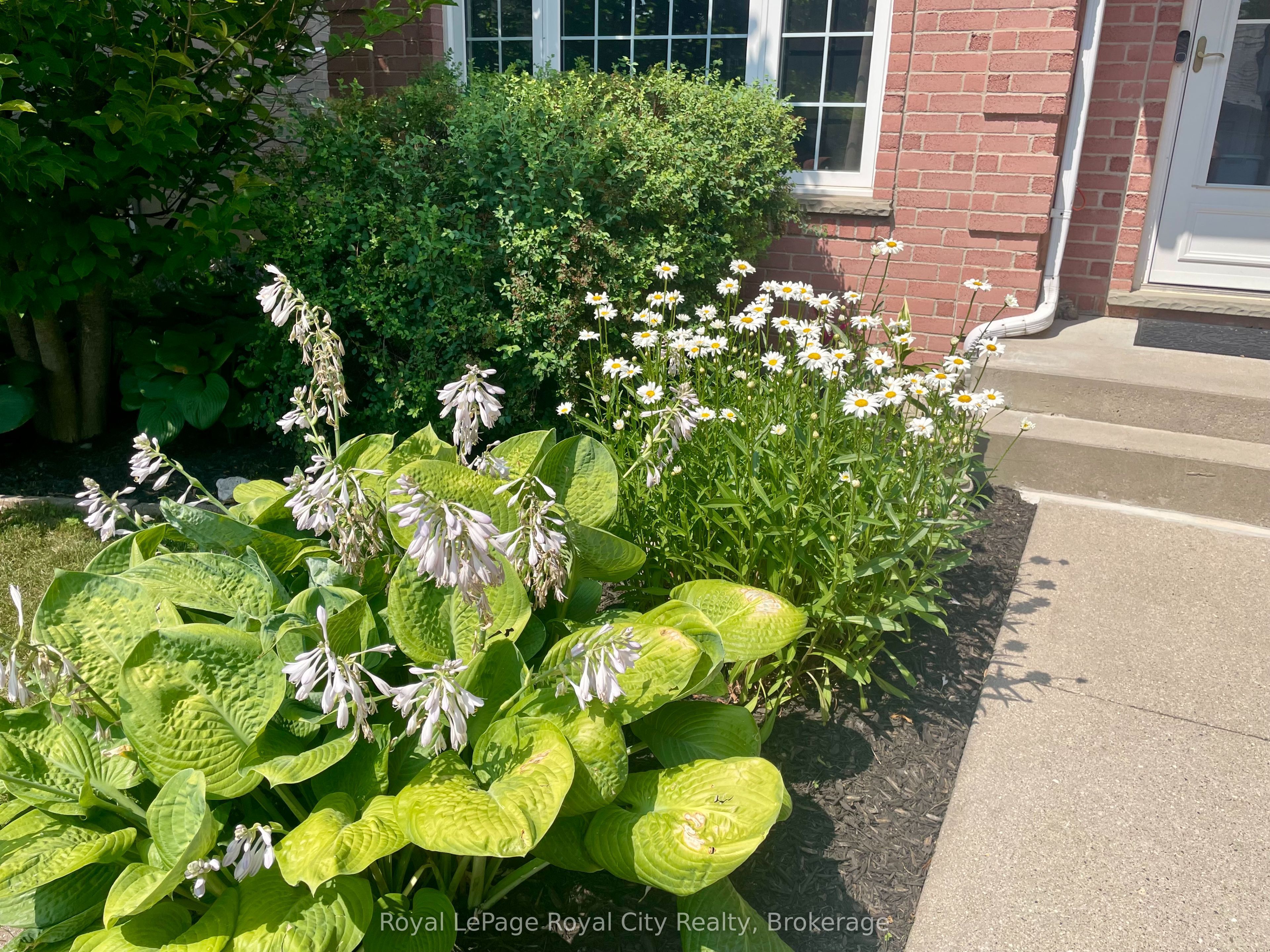 119 Meadowridge Drive Property Photo 34