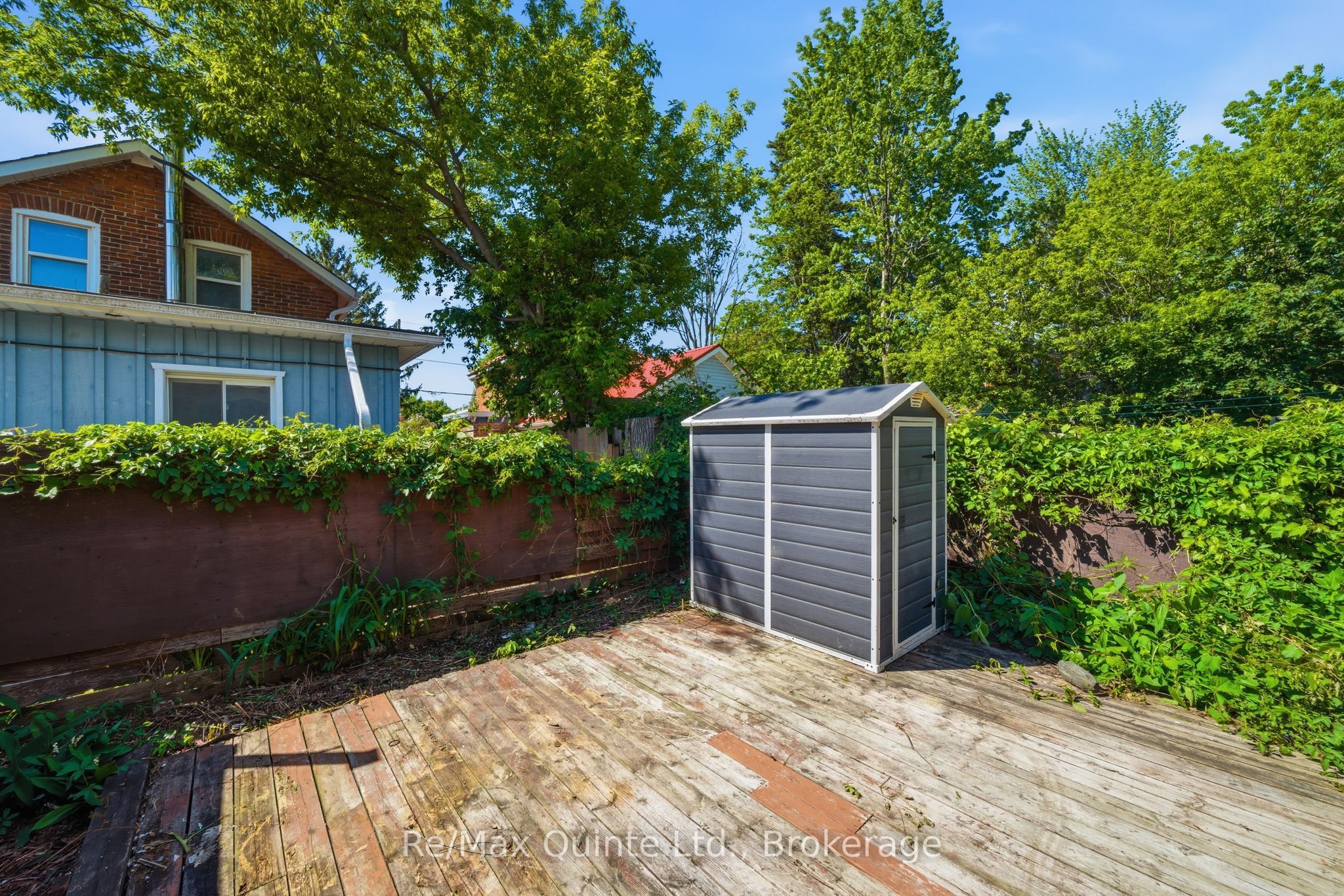 8 Dunbar Street Property Photo 32