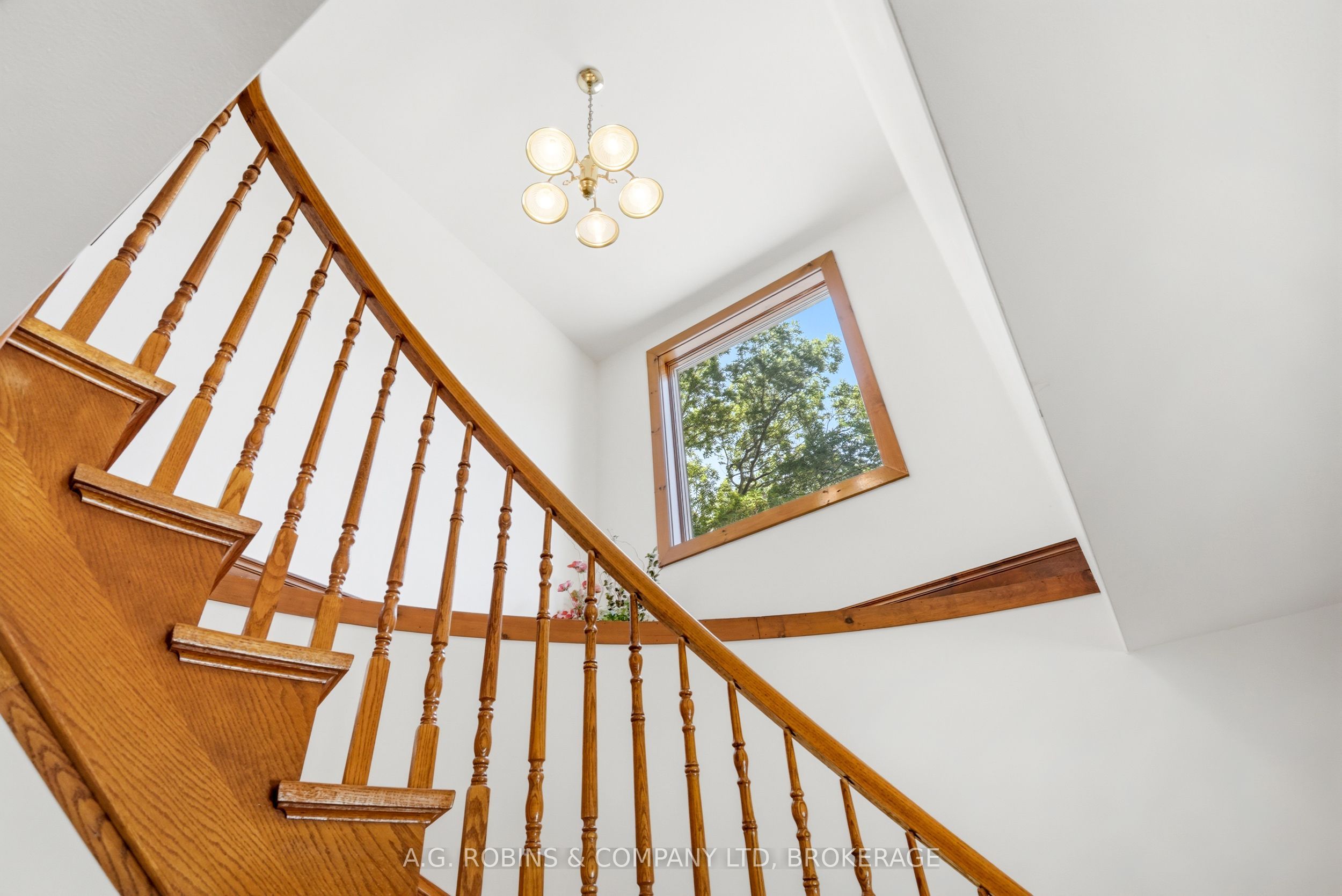 559 Lakeshore Road E Property Photo 27