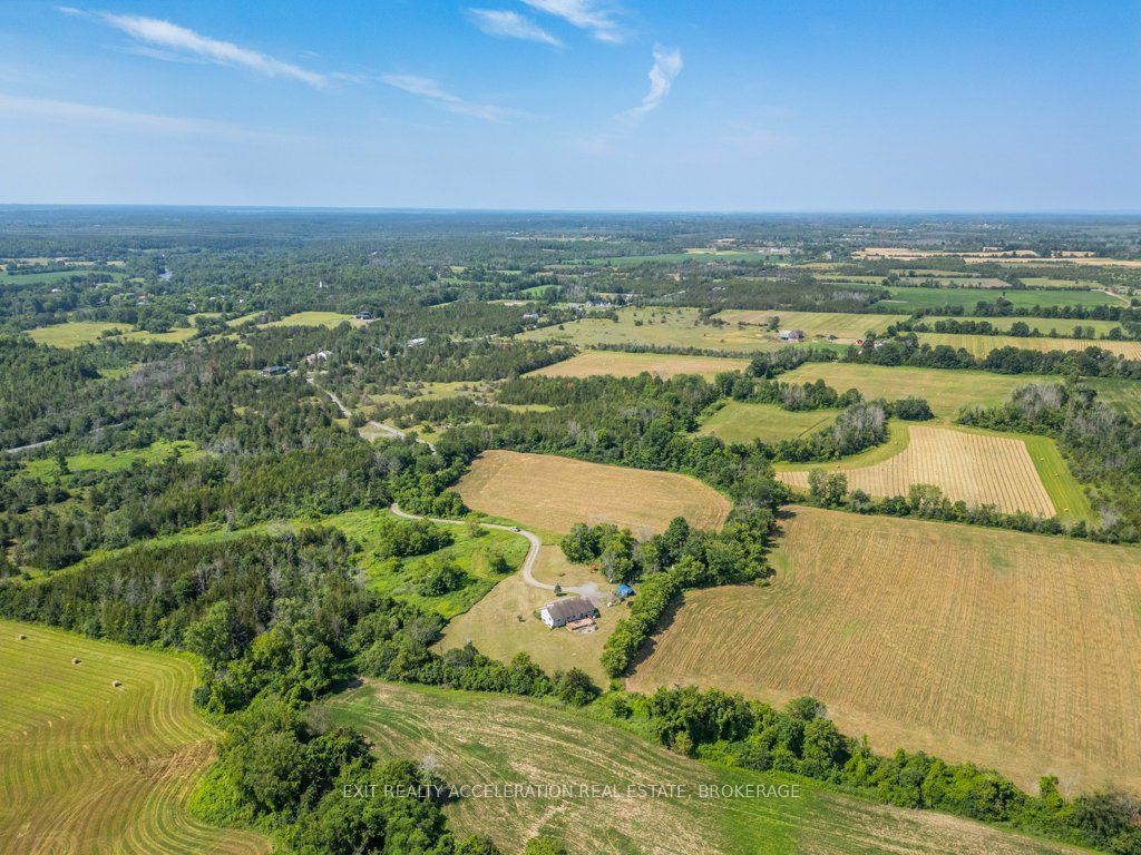 4463 Blessington Road Property Photo 46