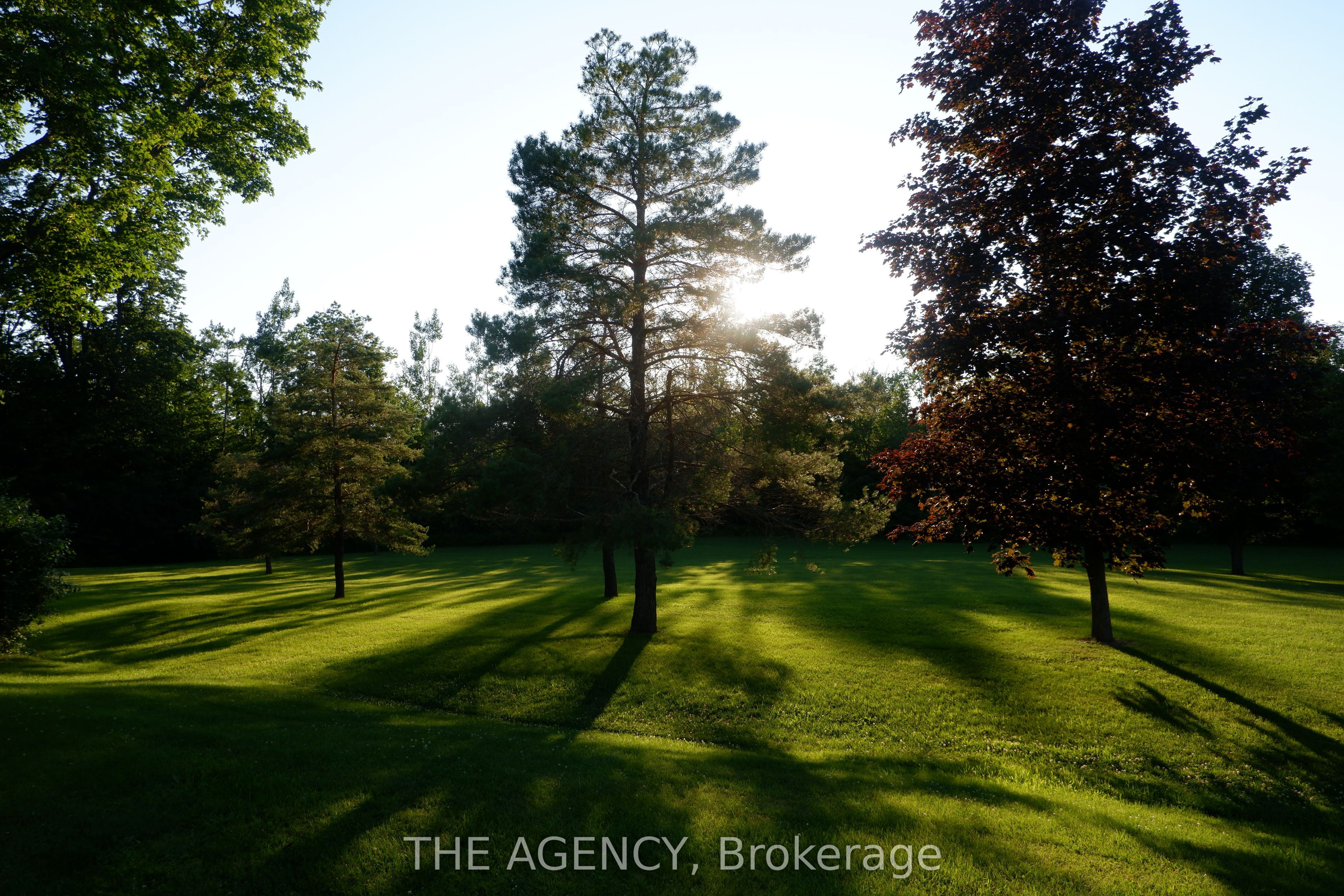 268 Yankee Line Property Photo 4