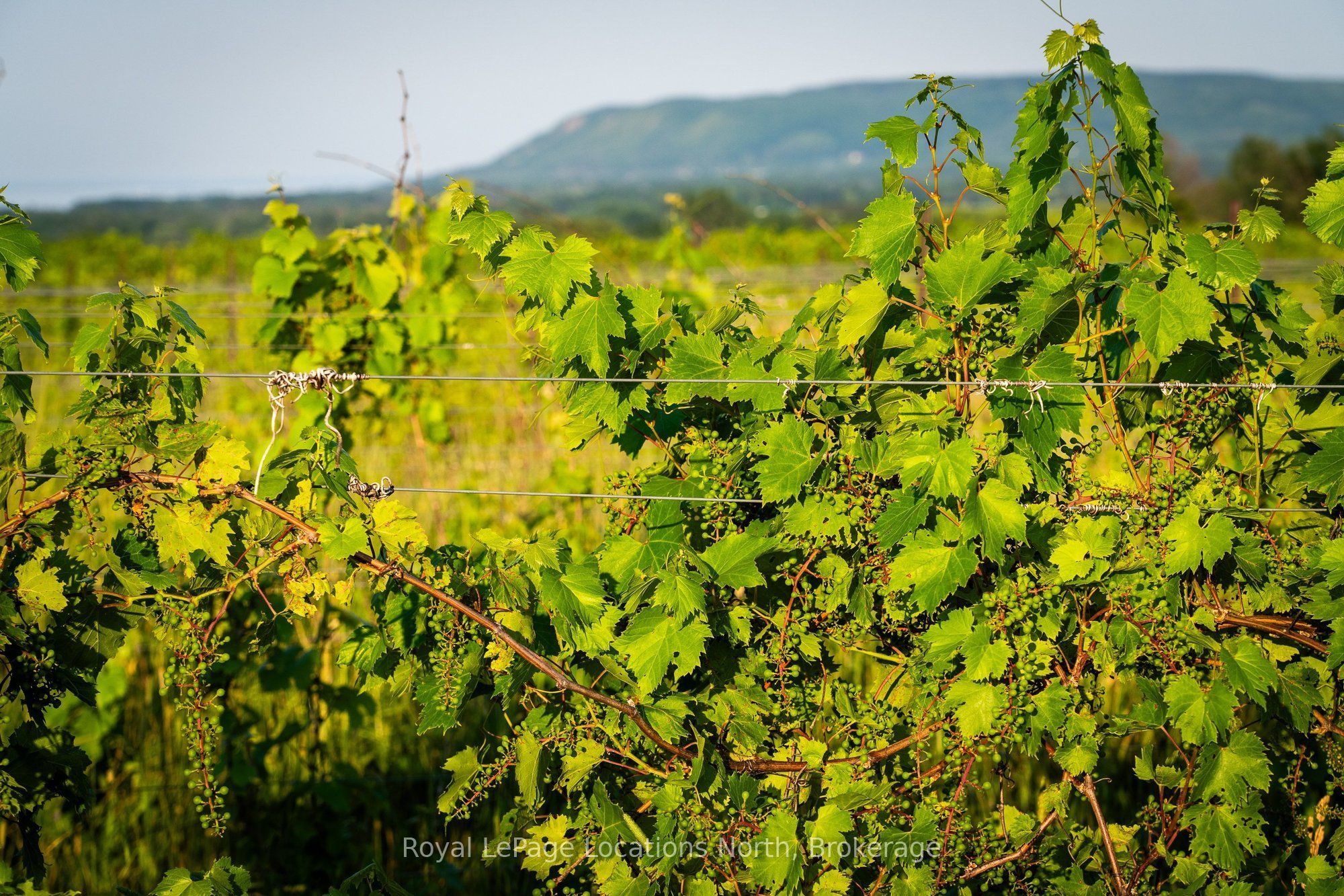 357065 The Blue Mountains Meaford Townline Road Property Photo 6