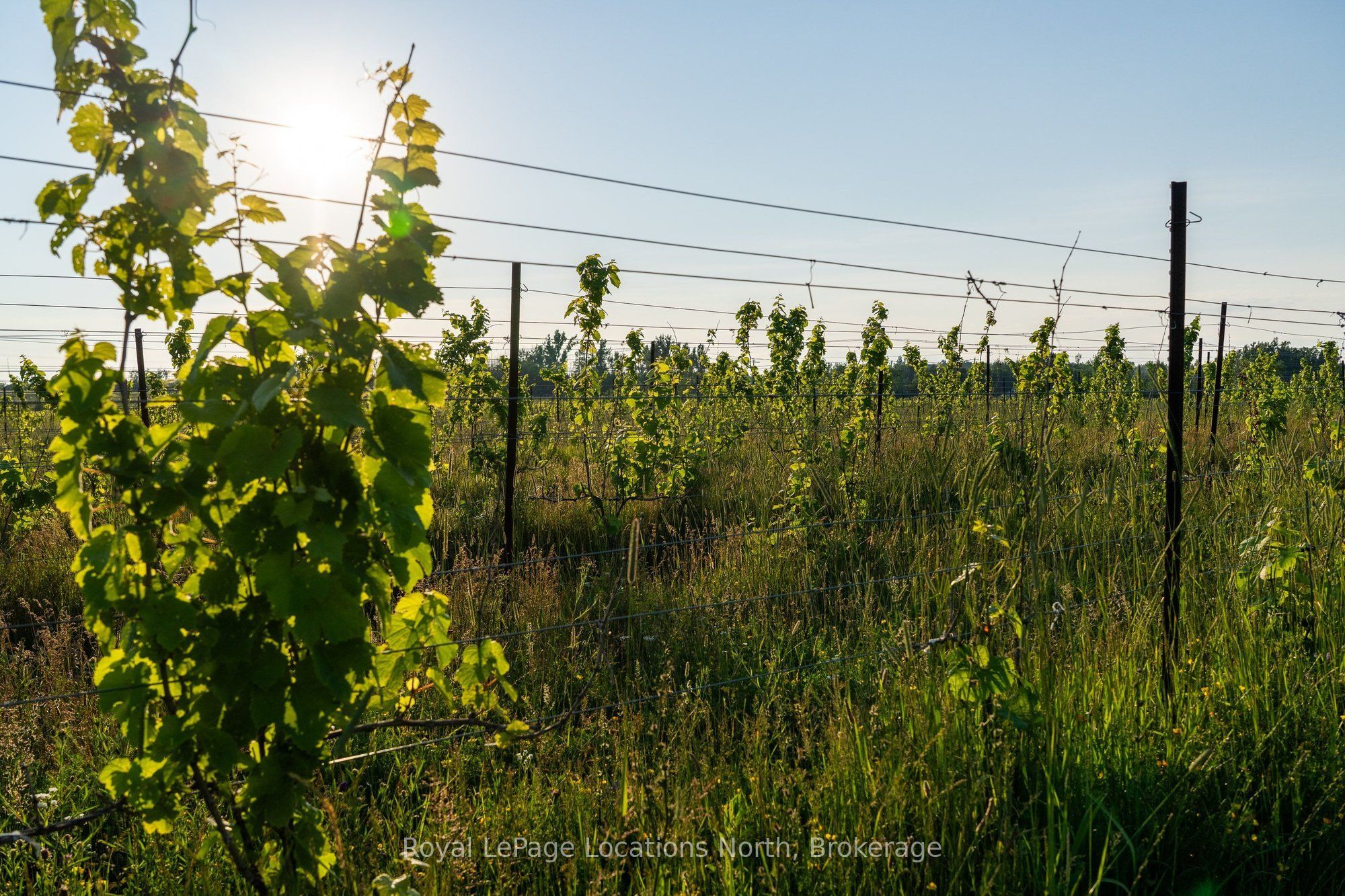 357065 The Blue Mountains Meaford Townline Road Property Photo 7