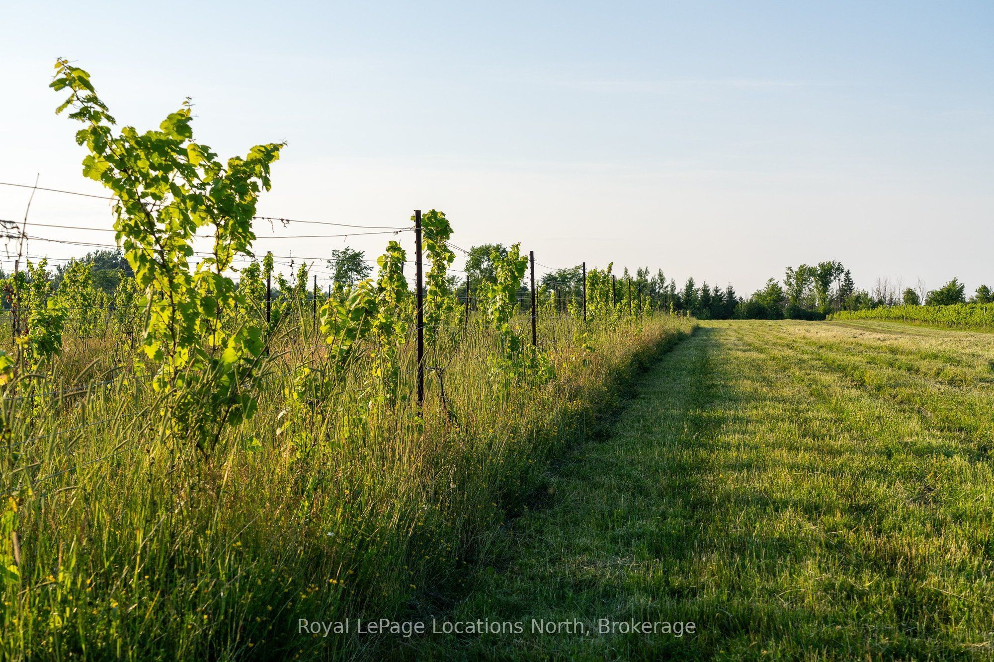 357065 The Blue Mountains Meaford Townline Road Property Photo 8