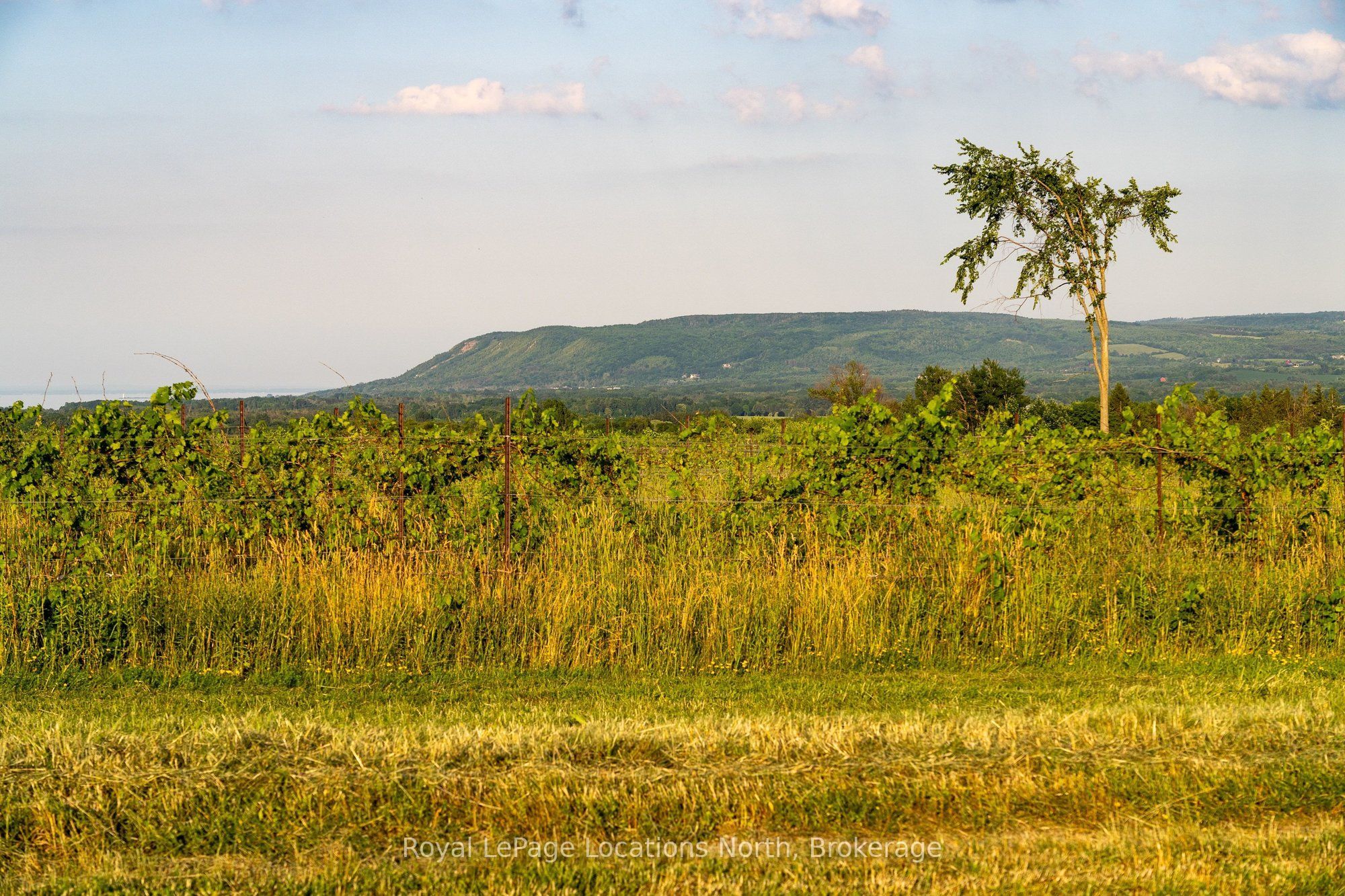 357065 The Blue Mountains Meaford Townline Road Property Photo 9