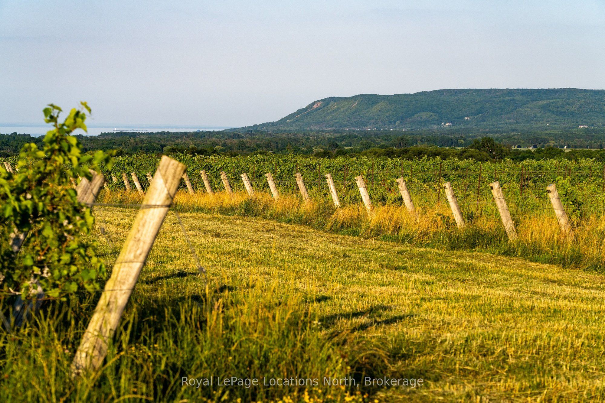 357065 The Blue Mountains Meaford Townline Road Property Photo 11