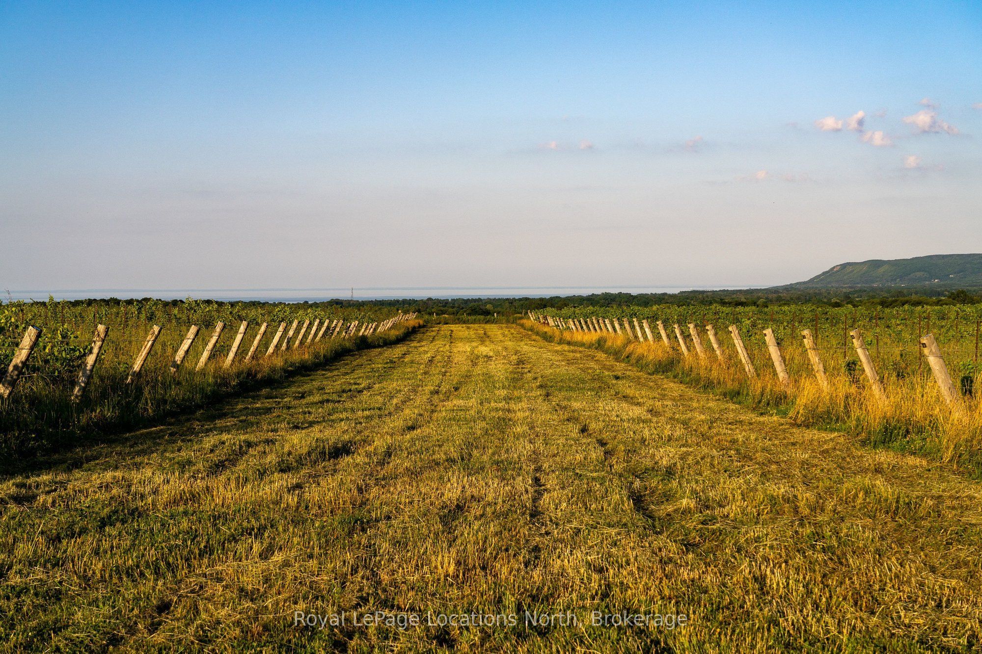 357065 The Blue Mountains Meaford Townline Road Property Photo 12