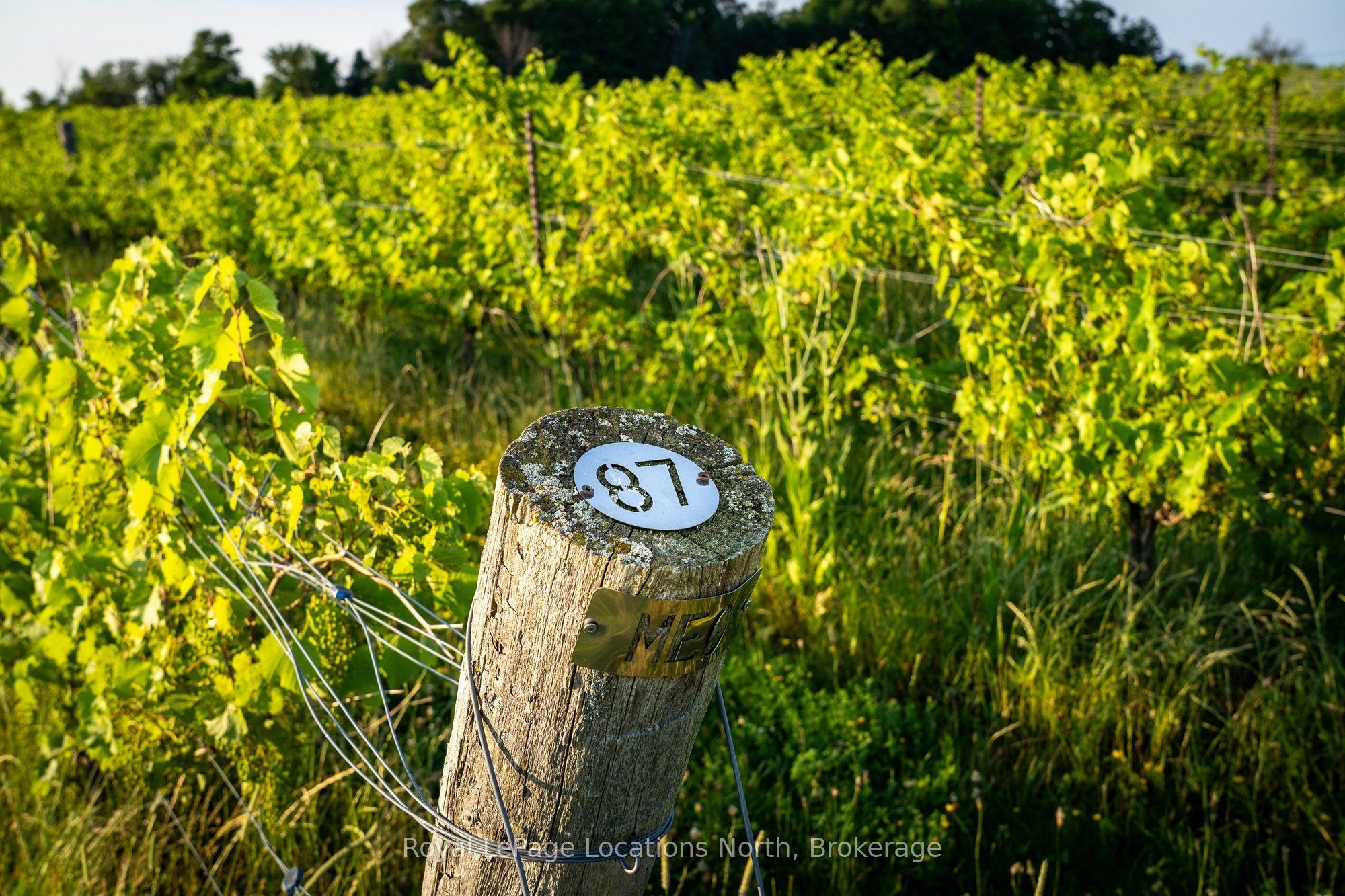 357065 The Blue Mountains Meaford Townline Road Property Photo 13