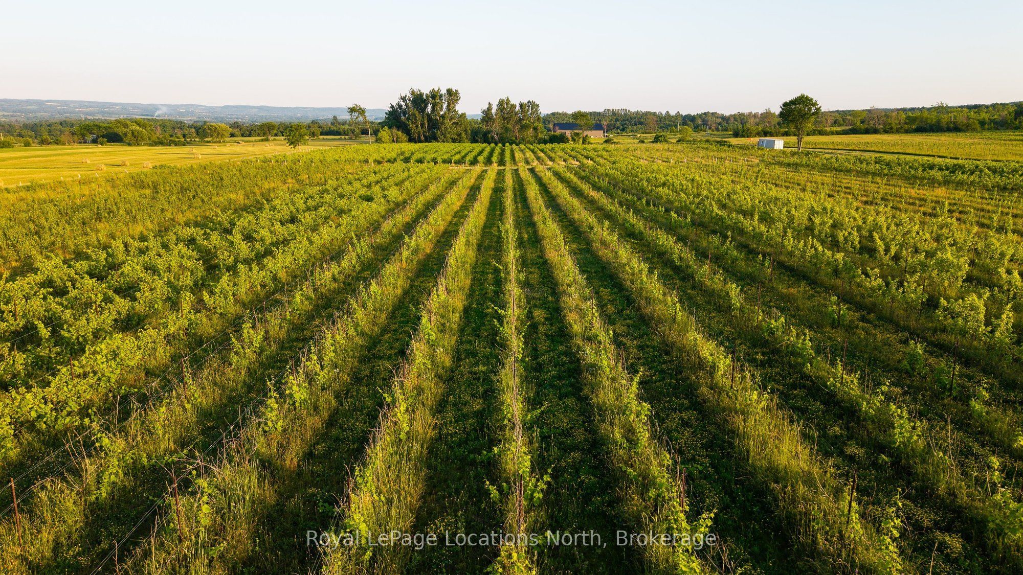 357065 The Blue Mountains Meaford Townline Road Property Photo 18