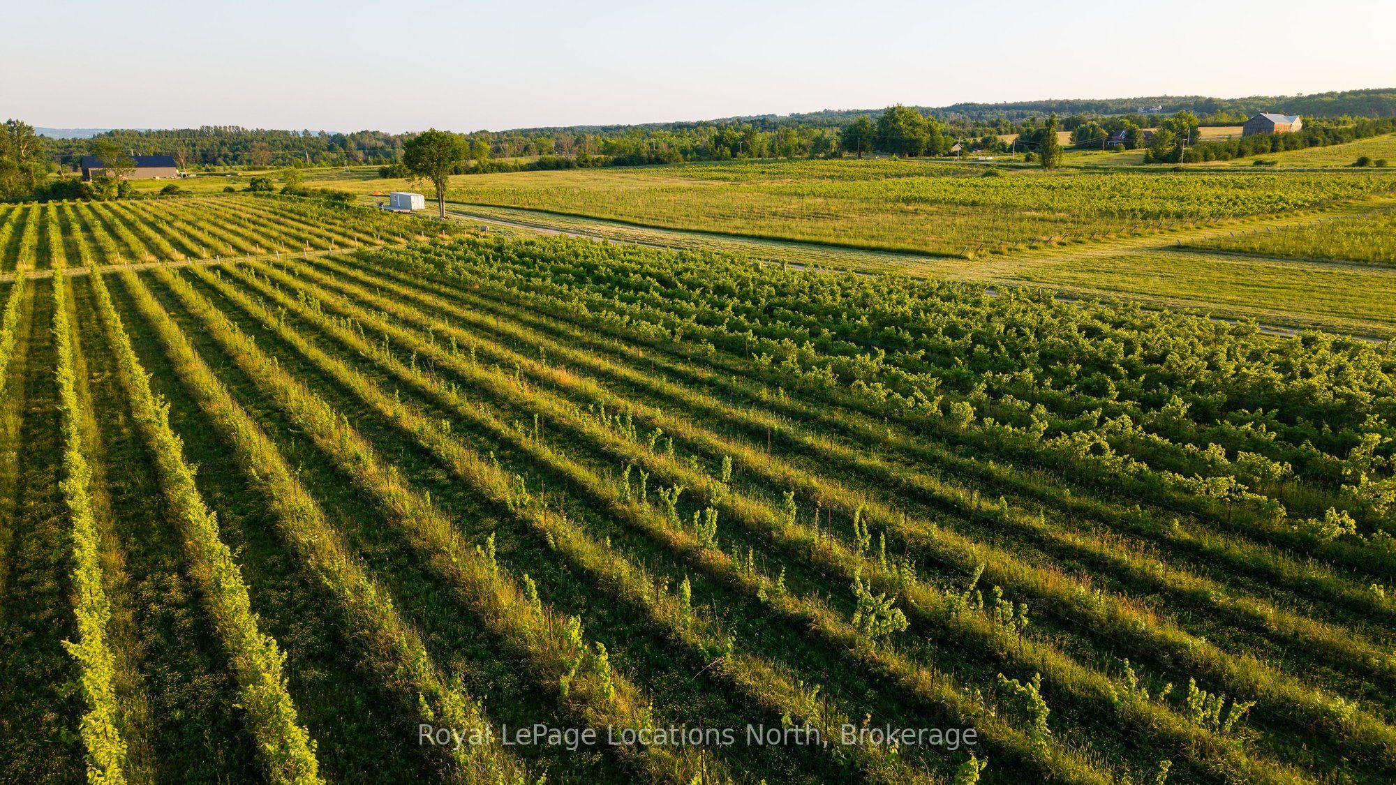 357065 The Blue Mountains Meaford Townline Road Property Photo 19