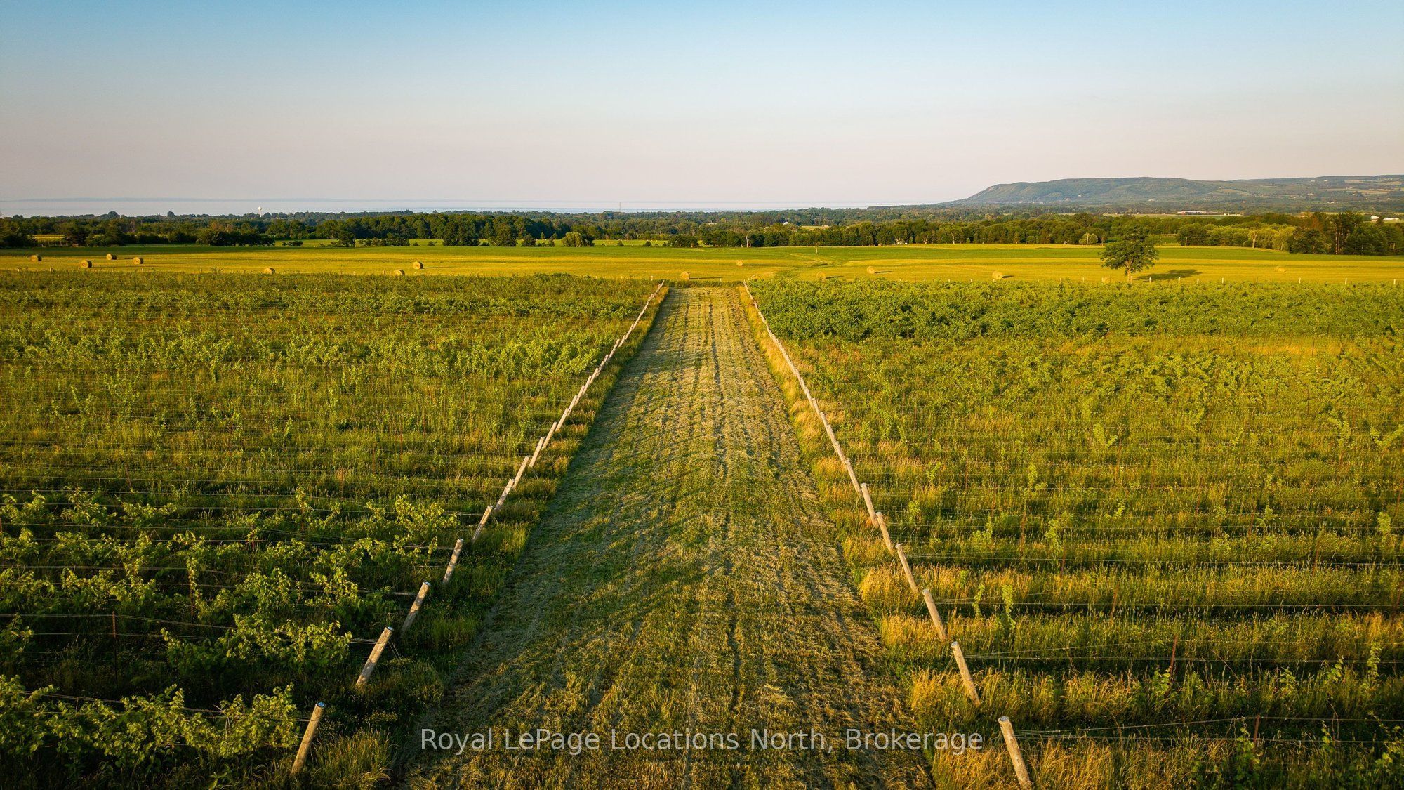 357065 The Blue Mountains Meaford Townline Road Property Photo 21