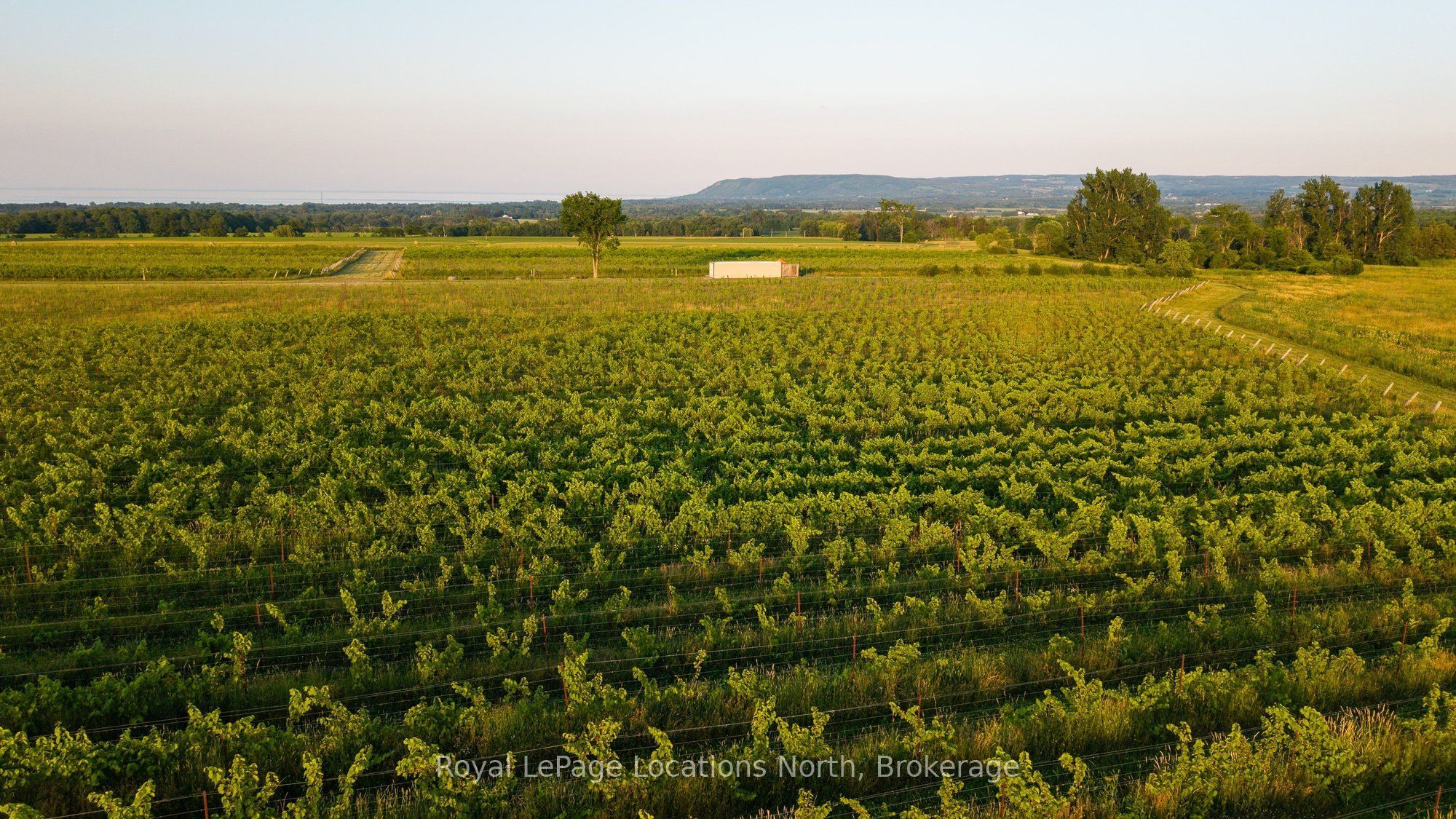 357065 The Blue Mountains Meaford Townline Road Property Photo 31