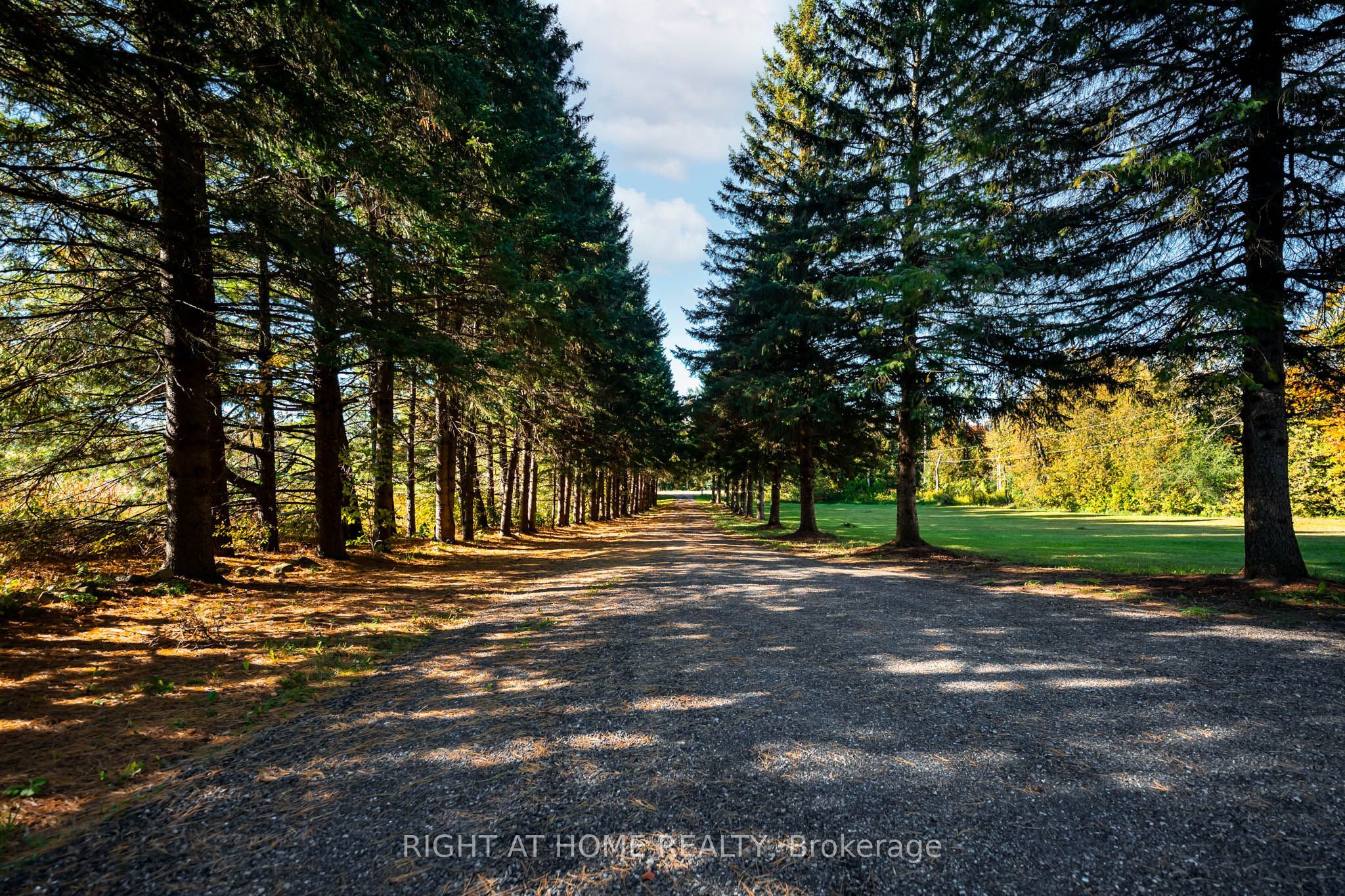 5609 4th Line Property Photo 3