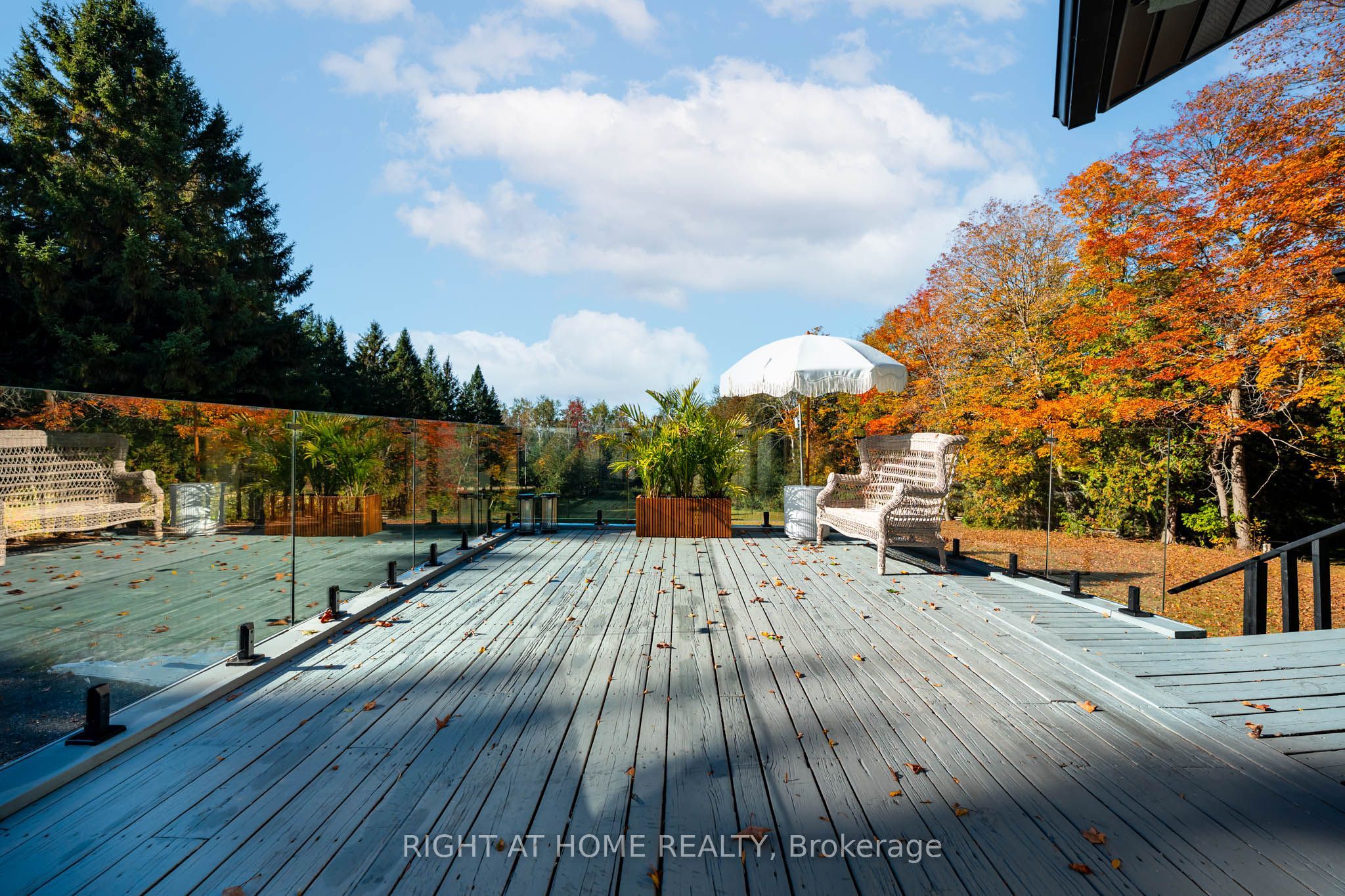 5609 4th Line Property Photo 36
