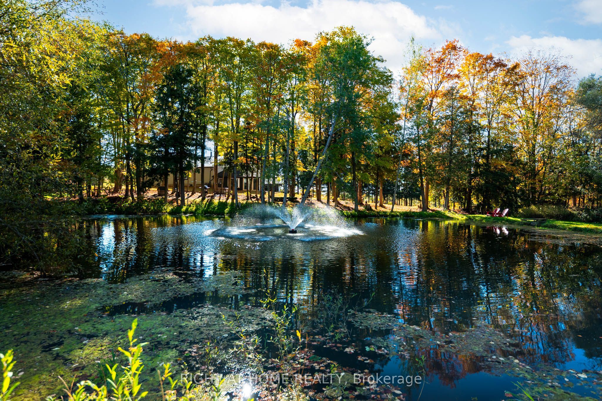 5609 4th Line Property Photo 37