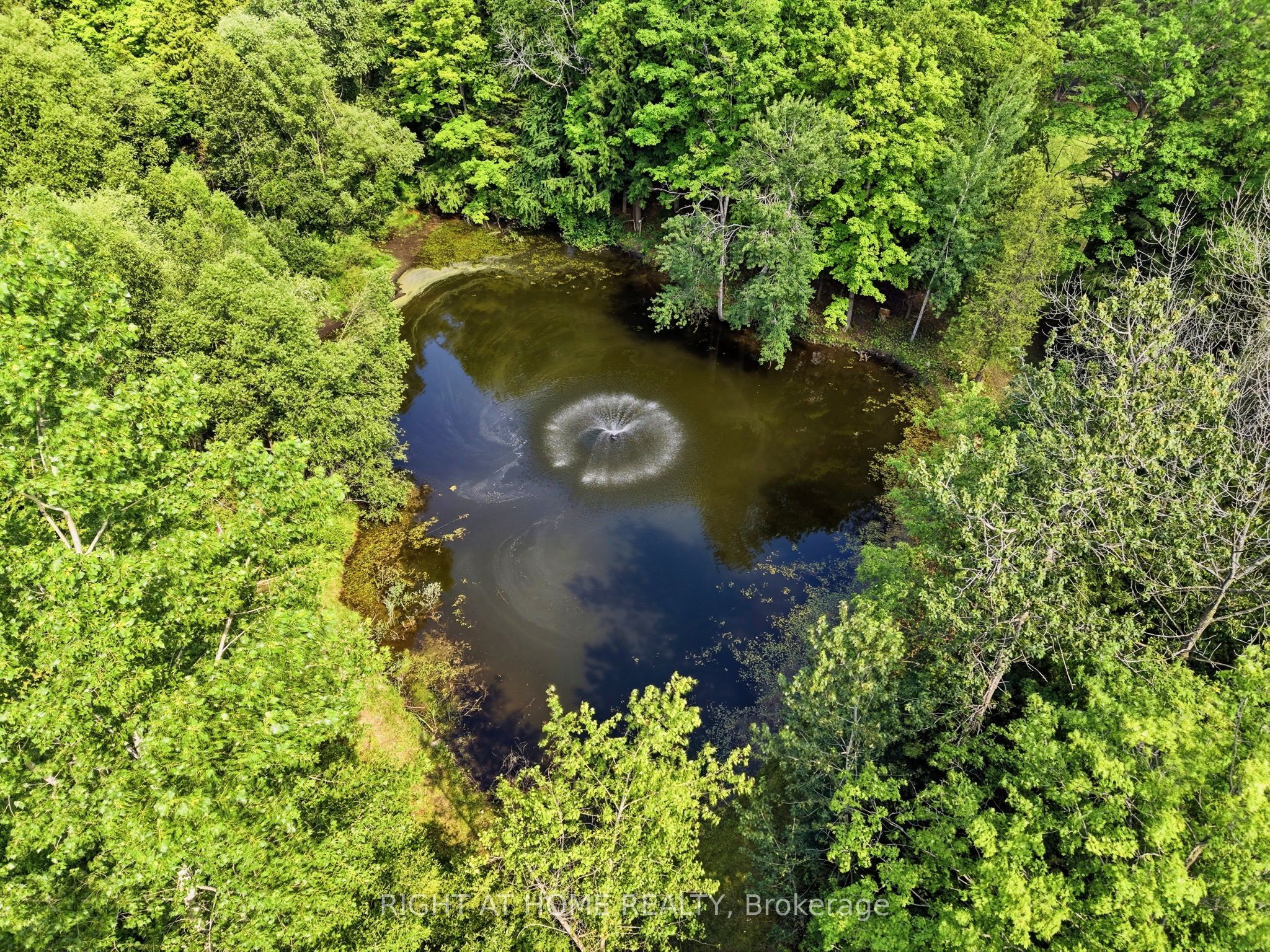 5609 4th Line Property Photo 38