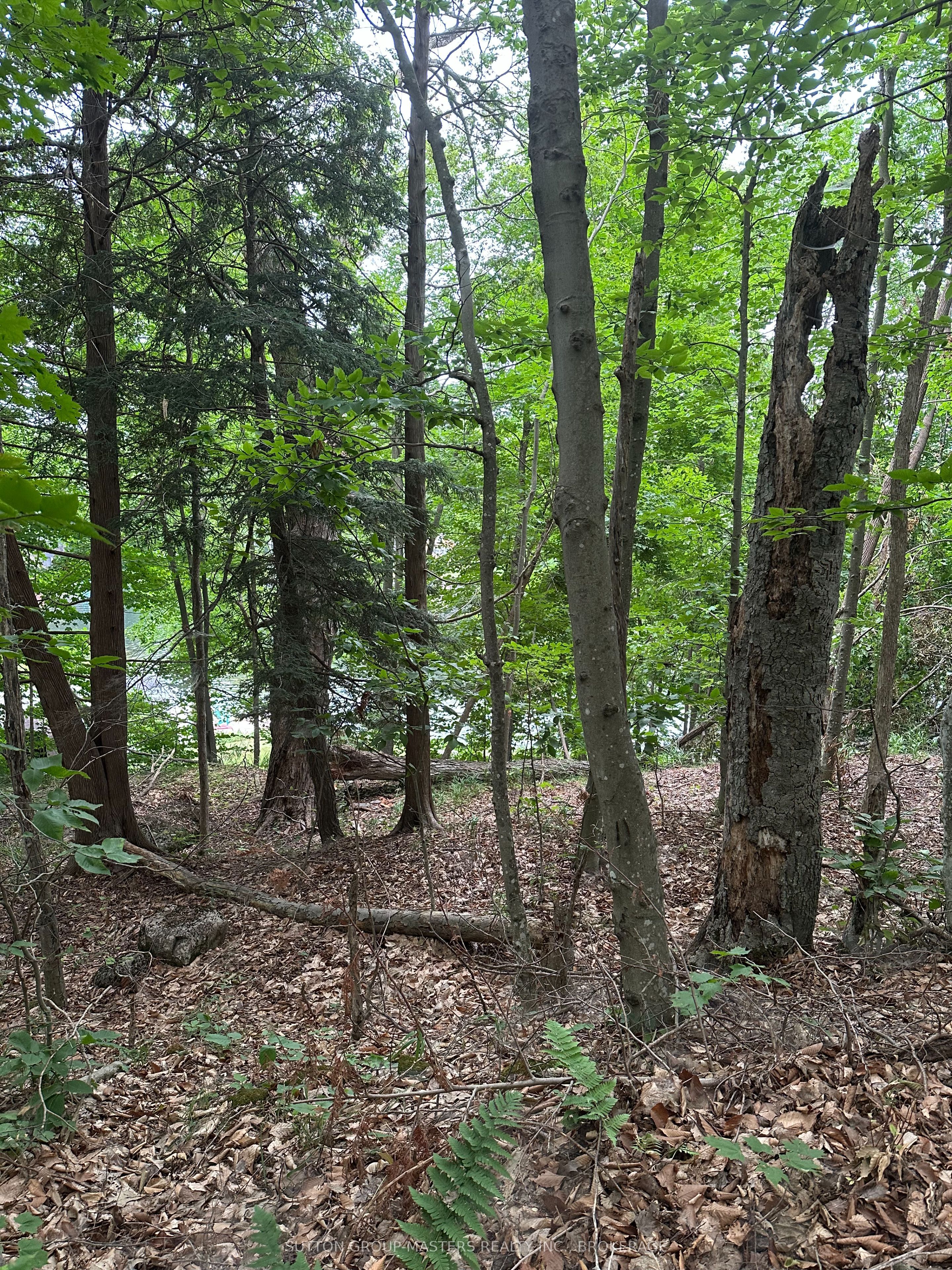 0 Silver Rock Lane Property Photo 1